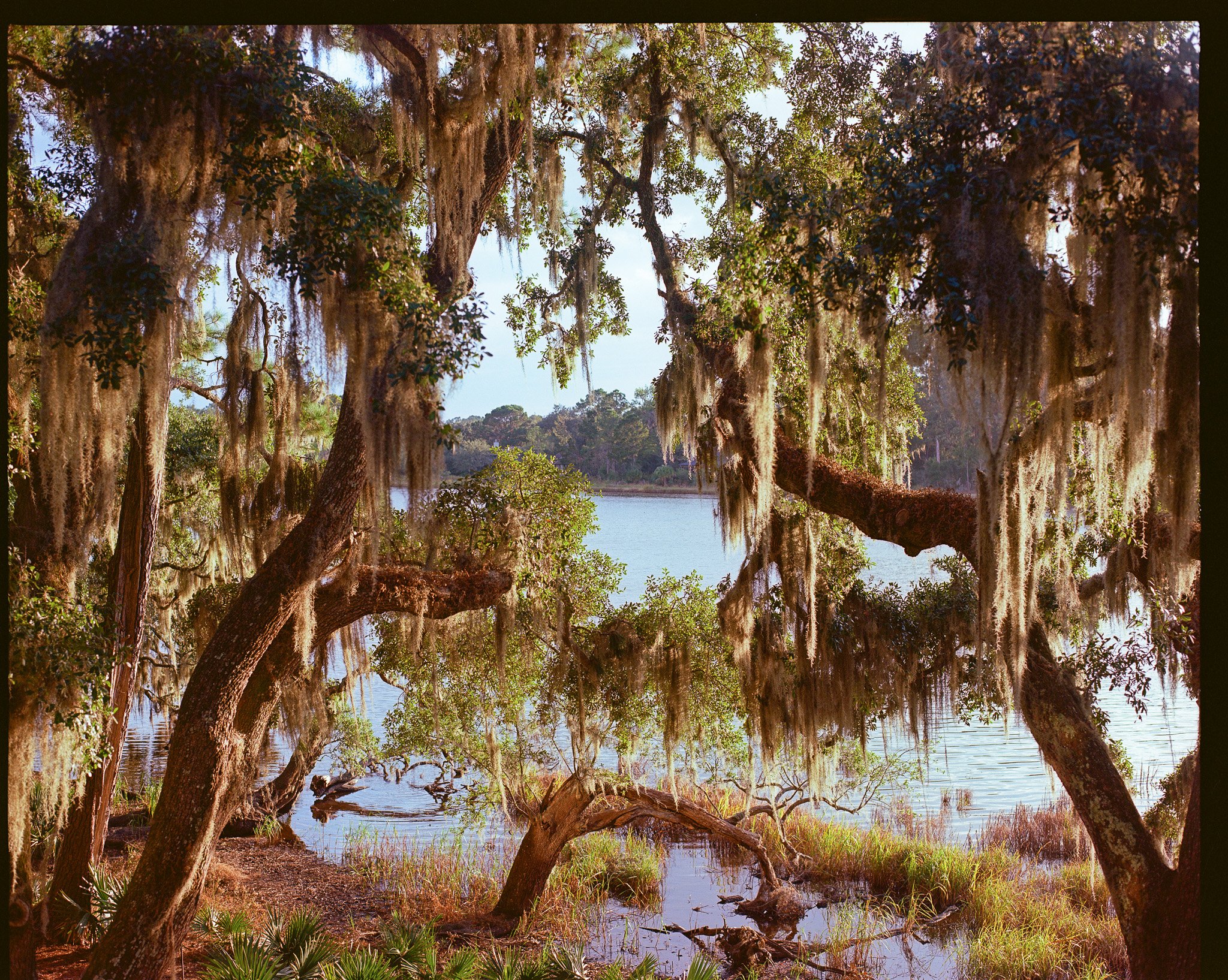 THE LOW COUNTRY