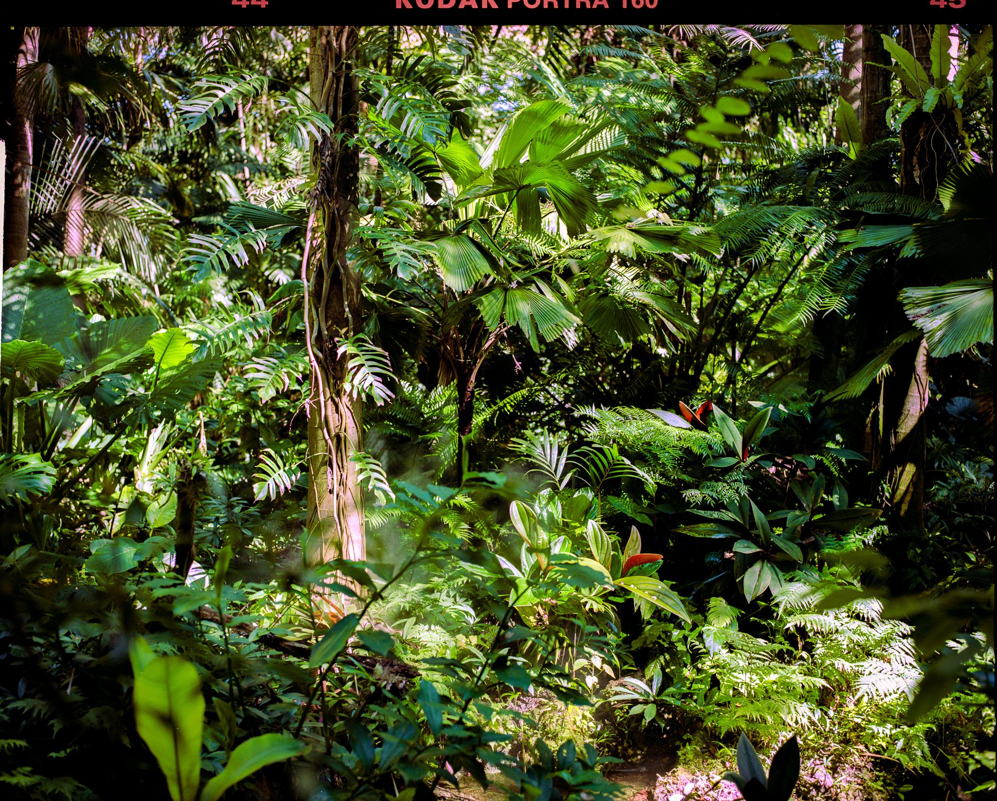 SCAN_123750 copy.jpg