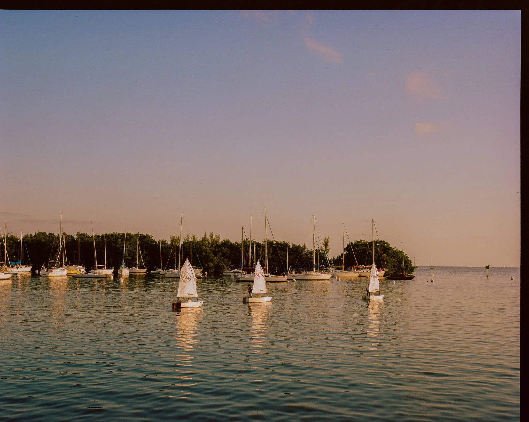 THREE LITTLE SAILBOATS