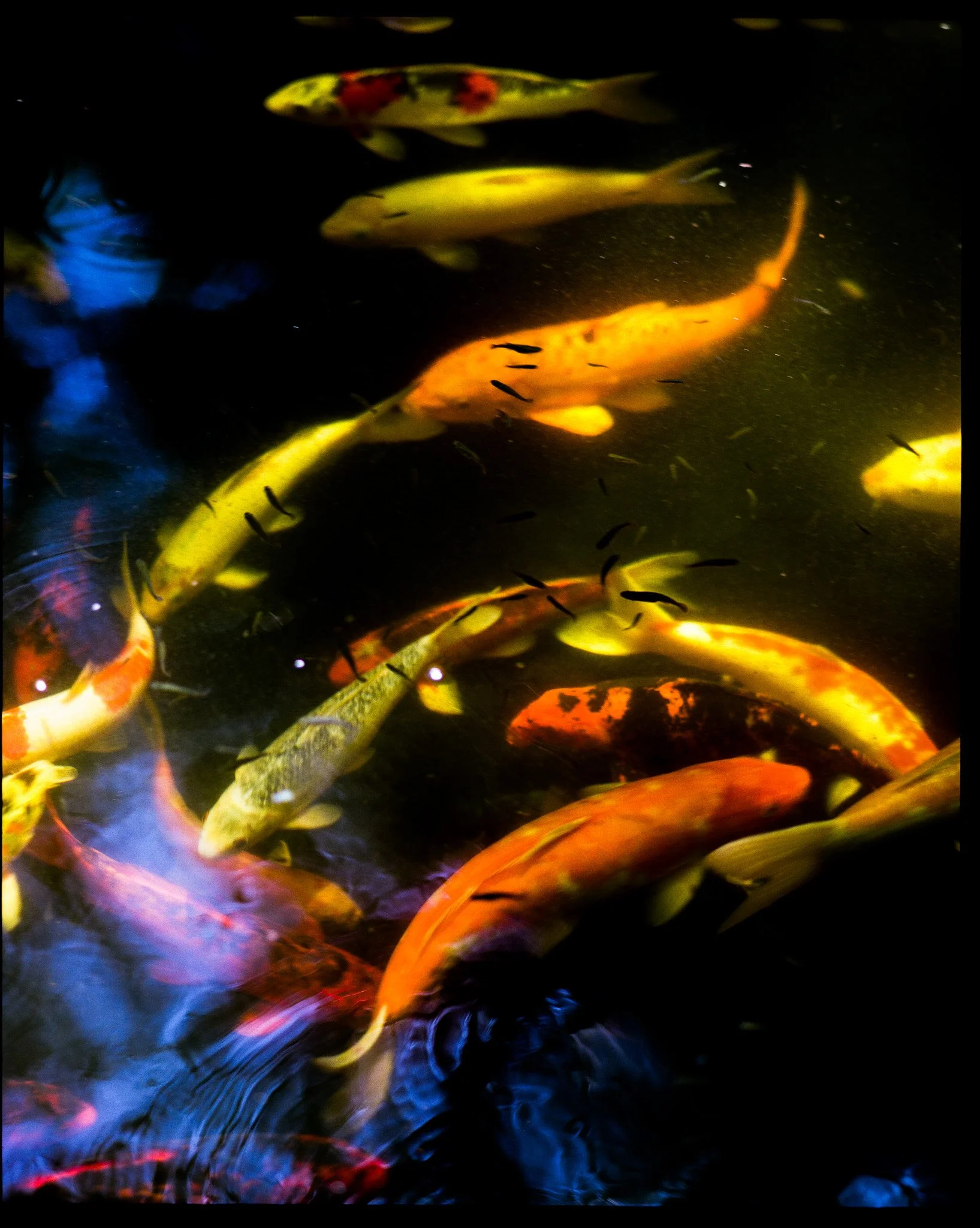 000033580004-2.jpg
