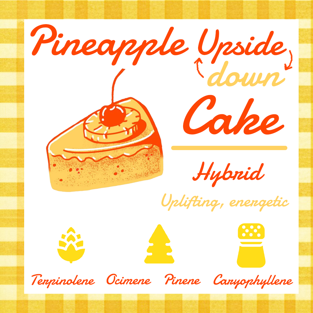 PineappleUpsideDownCake.png