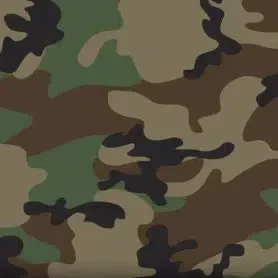 WTP-1000 M81 Woodland Camo   (STOCKED PATTERN)  

