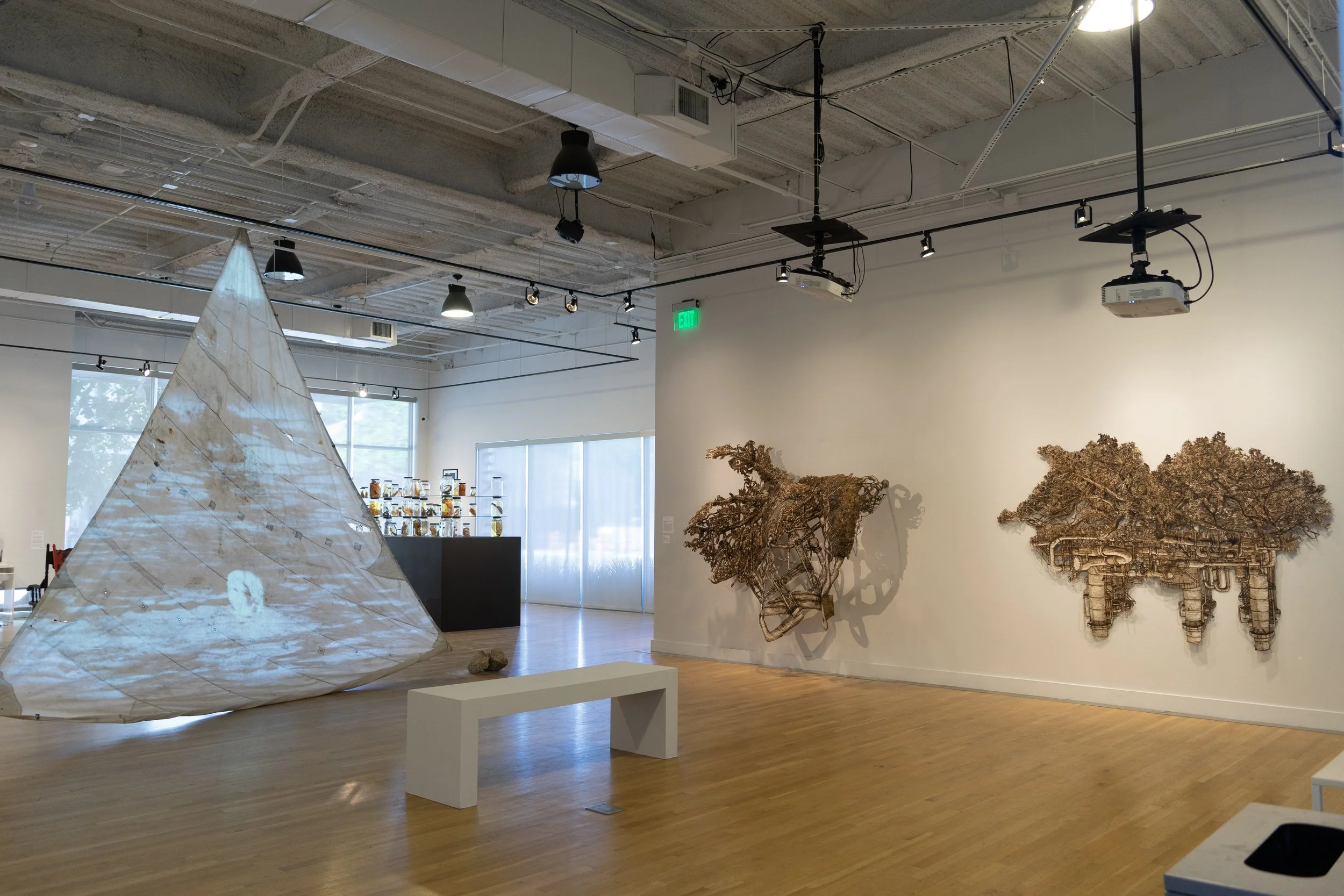 14-2024_Diaz_Diverseworks Biennial_00195.jpg