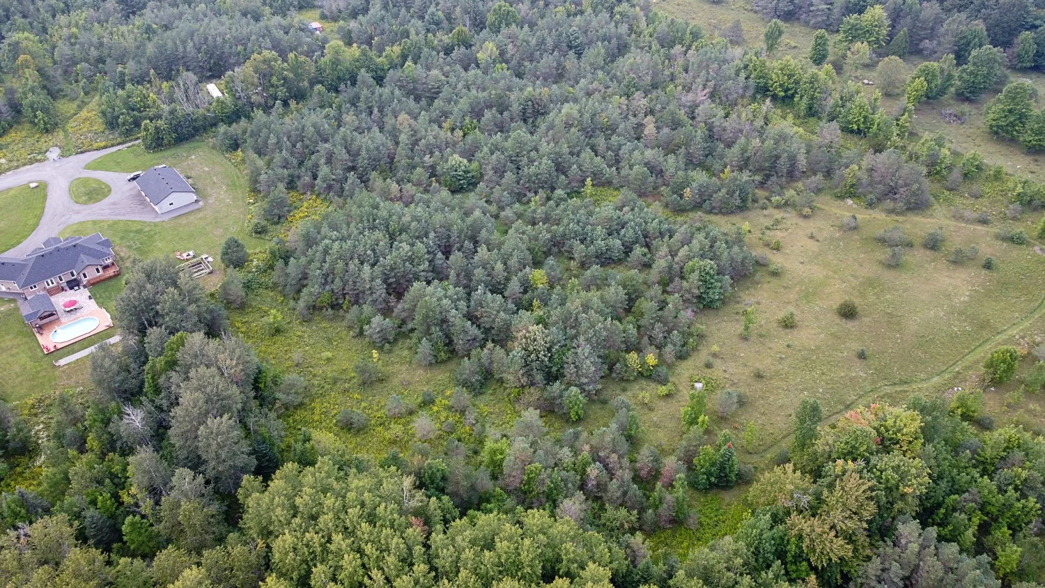DJI_0939.jpg