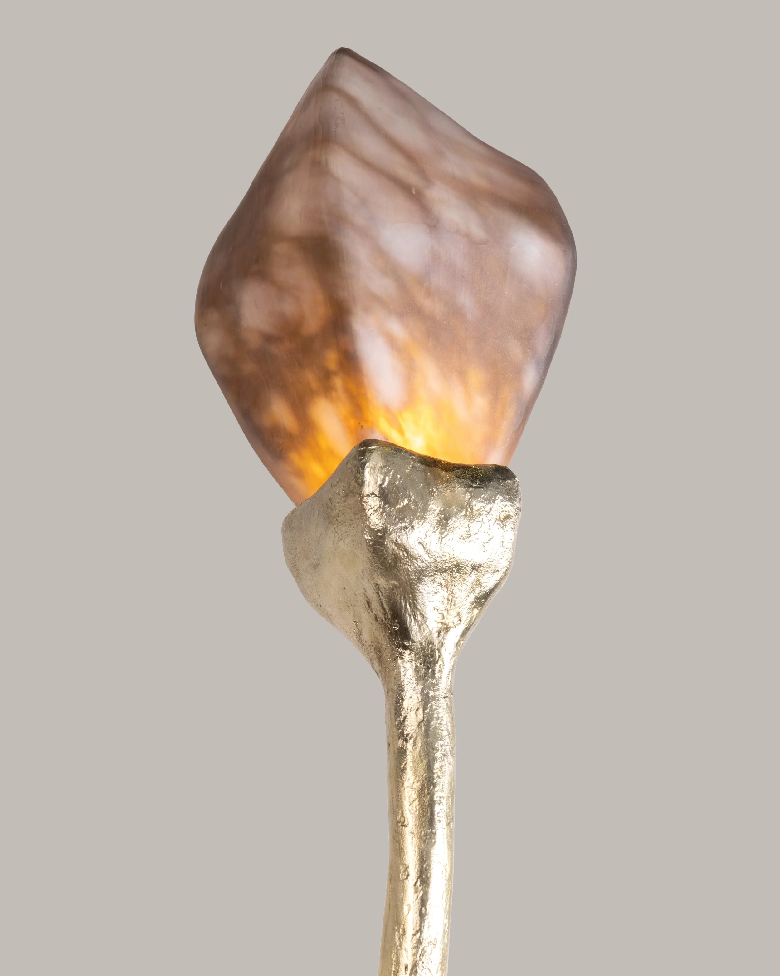 RSN_1250-Editar.jpg