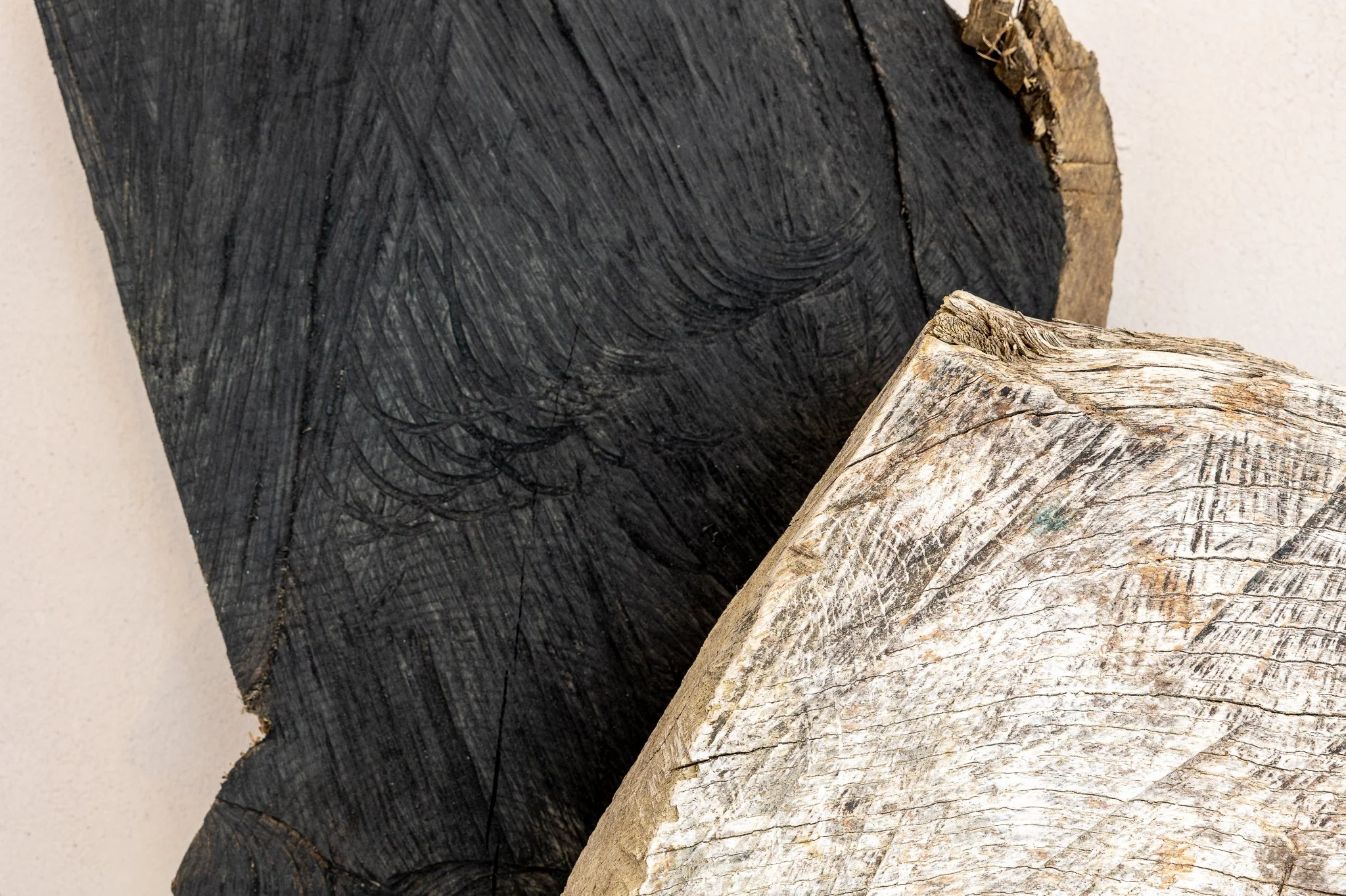 Claudia Hofer Webseite NEUNEU-63.jpg