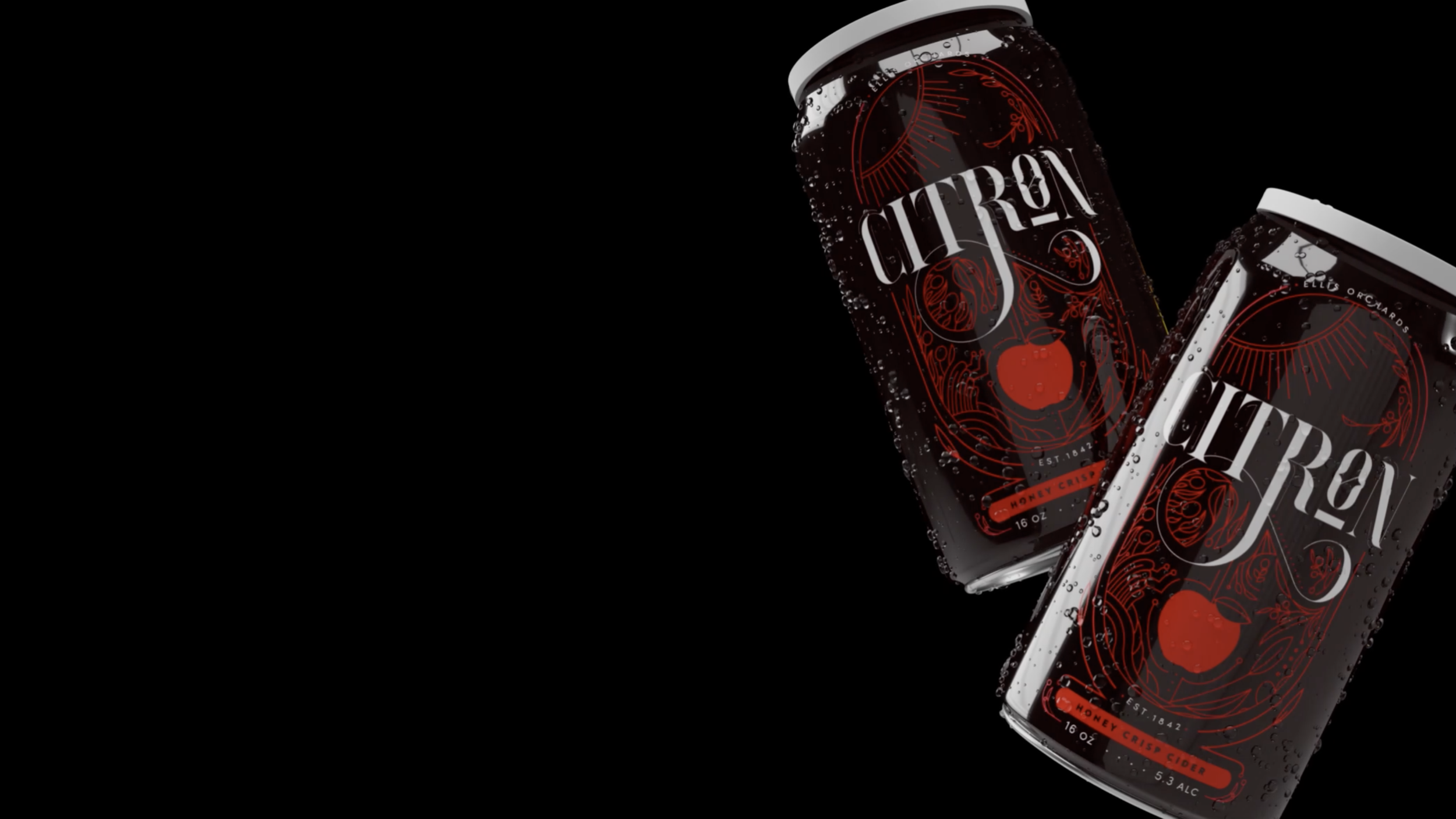 Screen Shot 2021-05-24 at 5.06.57 PM.png