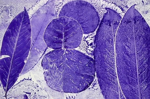 purple leaves.jpg