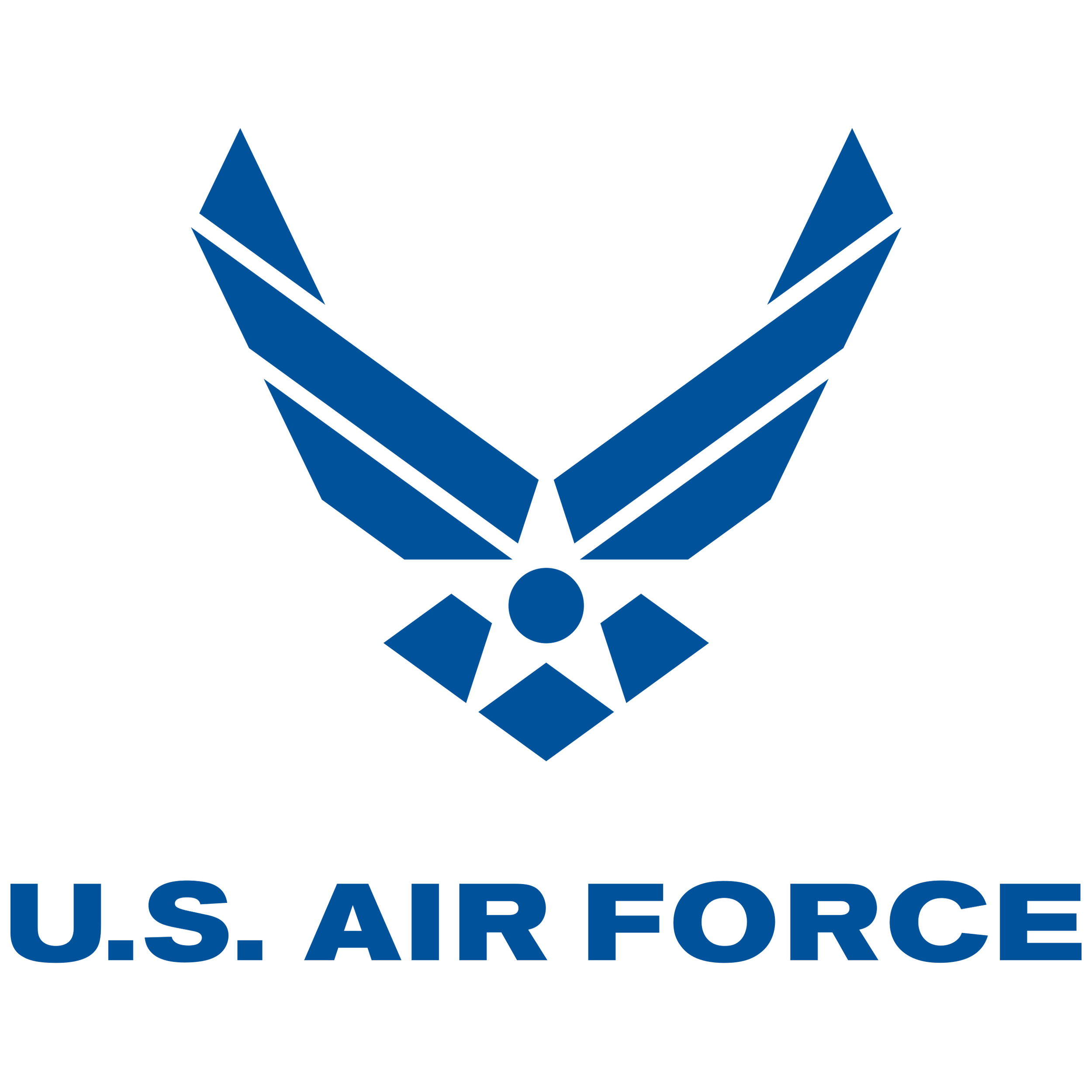 US_Air_Force_Logo_Solid_Colour.svg1.png