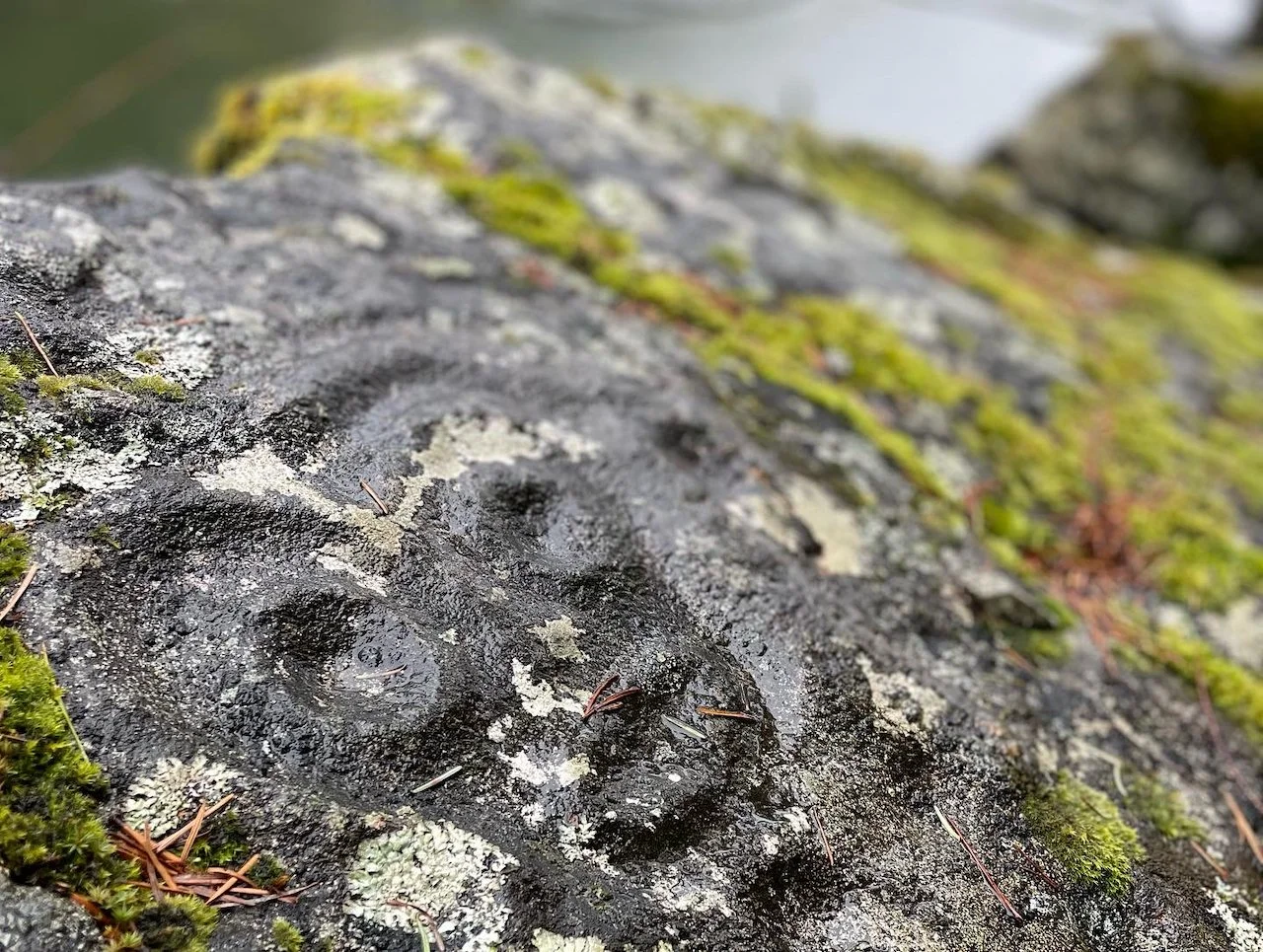 Just a short flight from the lodge is a beautiful helicopter-supported hike through the lower dean River canyon. Old growth forest, moss, the smell of the ocean and 5,000 year-old petroglyphs.