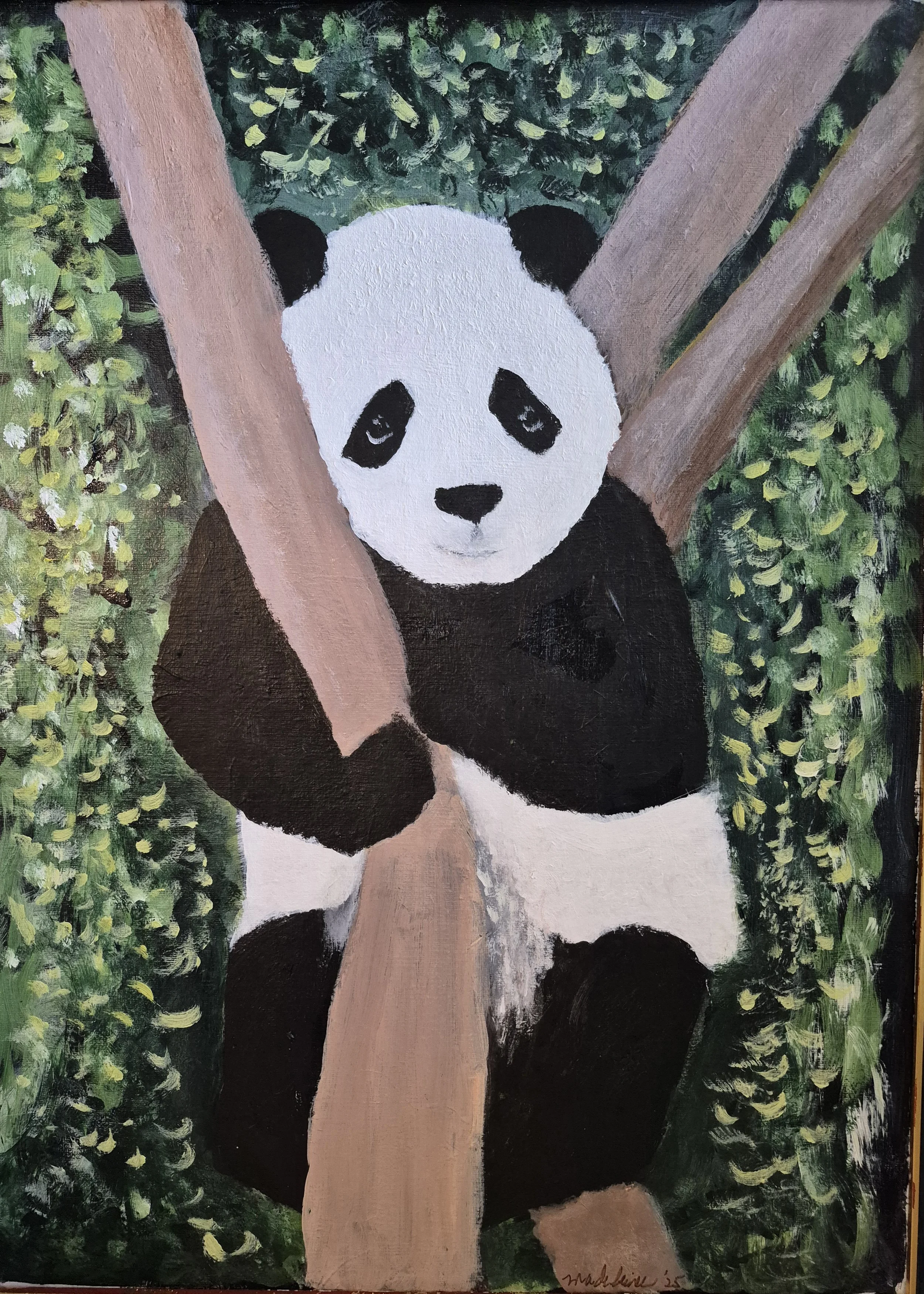 panda bear.jpg