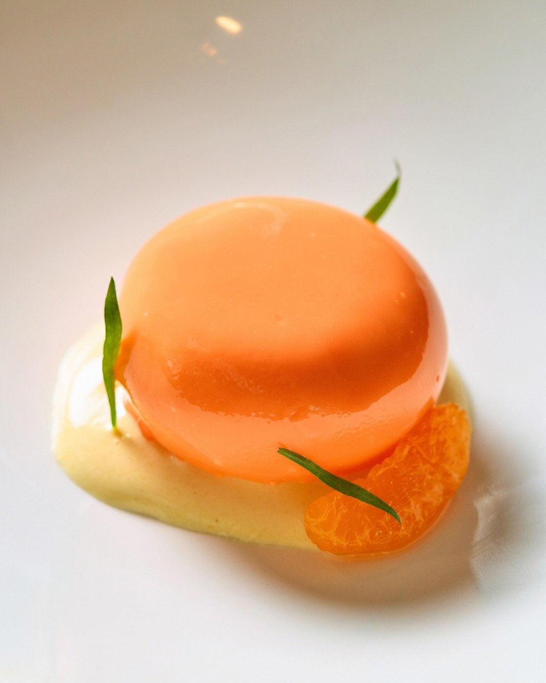 Tangerine Entremet | cream cheese mousse, meringue, tarragon tangerine center

Served daily on our 50th Anniversary Tasting Menu.

📷 @briansamuelsphotography