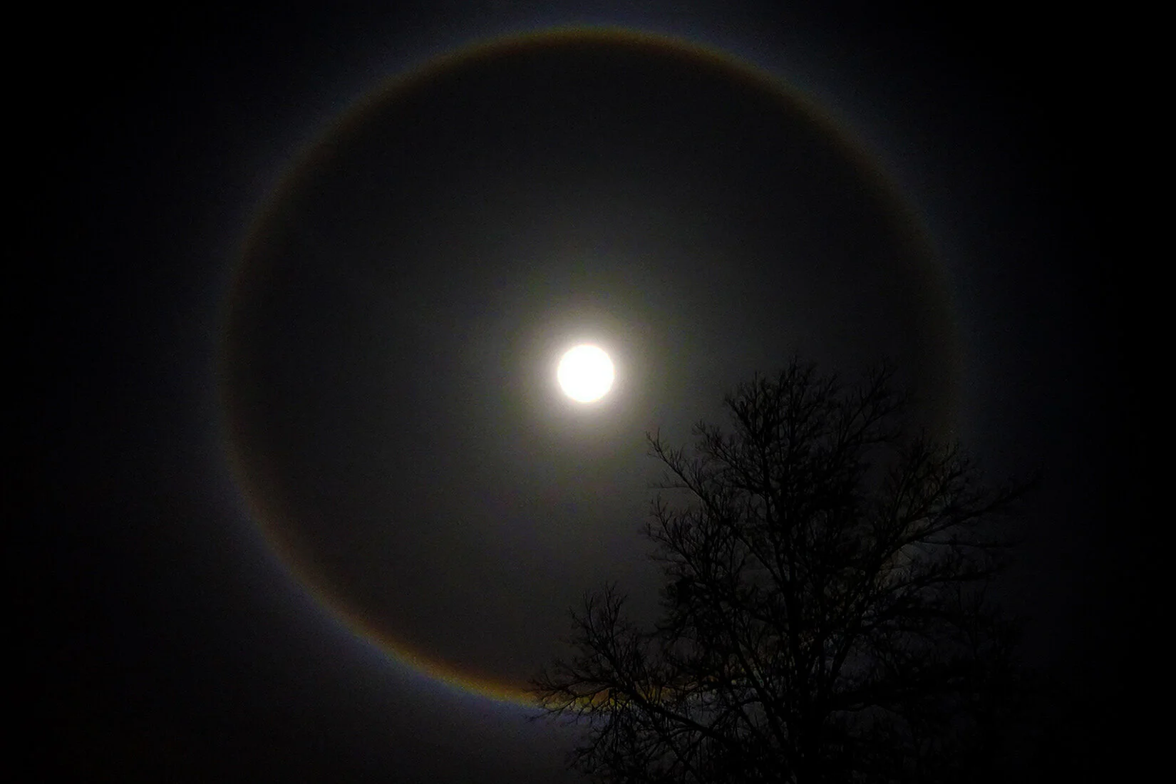 Moon Halo by Indivox, CC BY-SA 4.0, via Wikimedia Commons