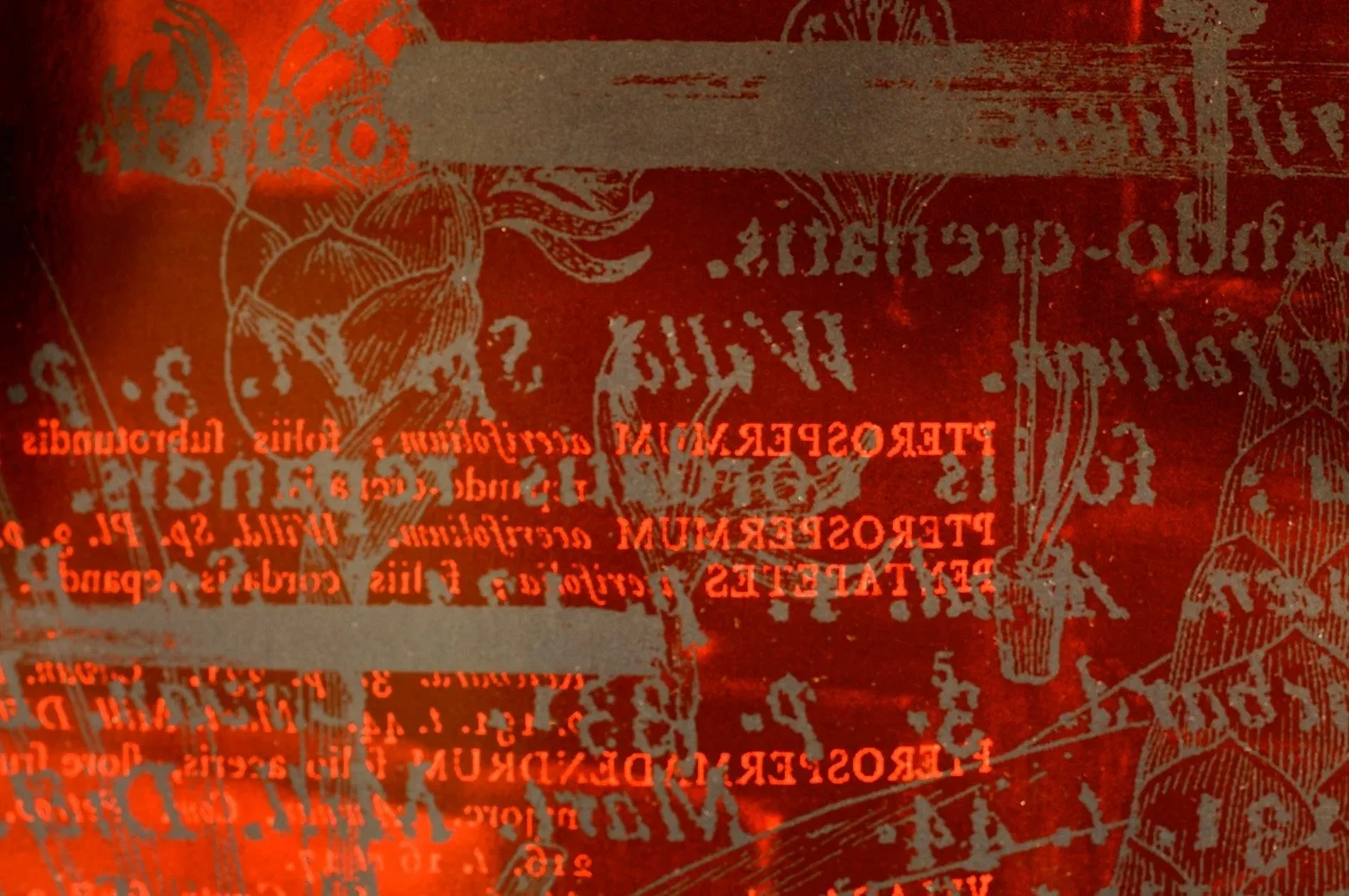 A close-up of duotone artwork.