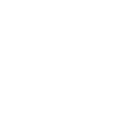 Skate Raleigh logo.