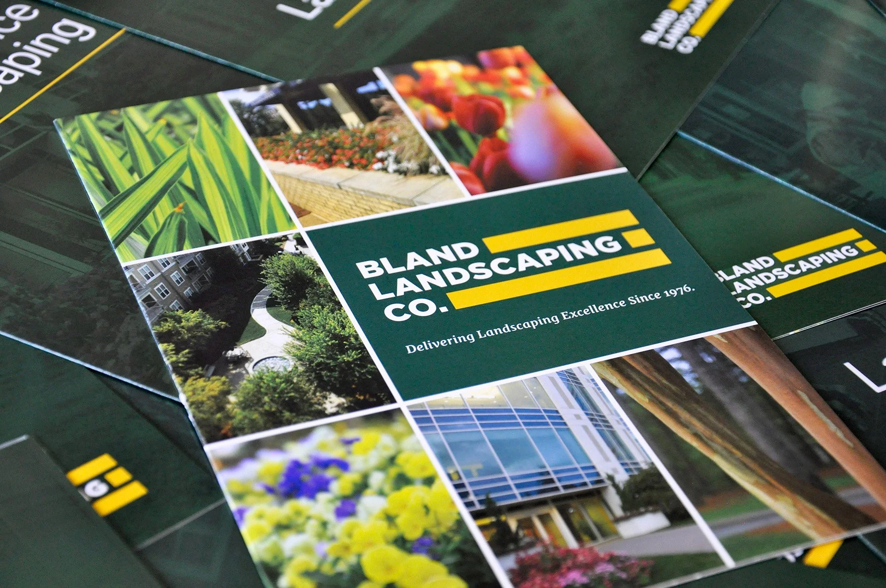 A brochure front cover.