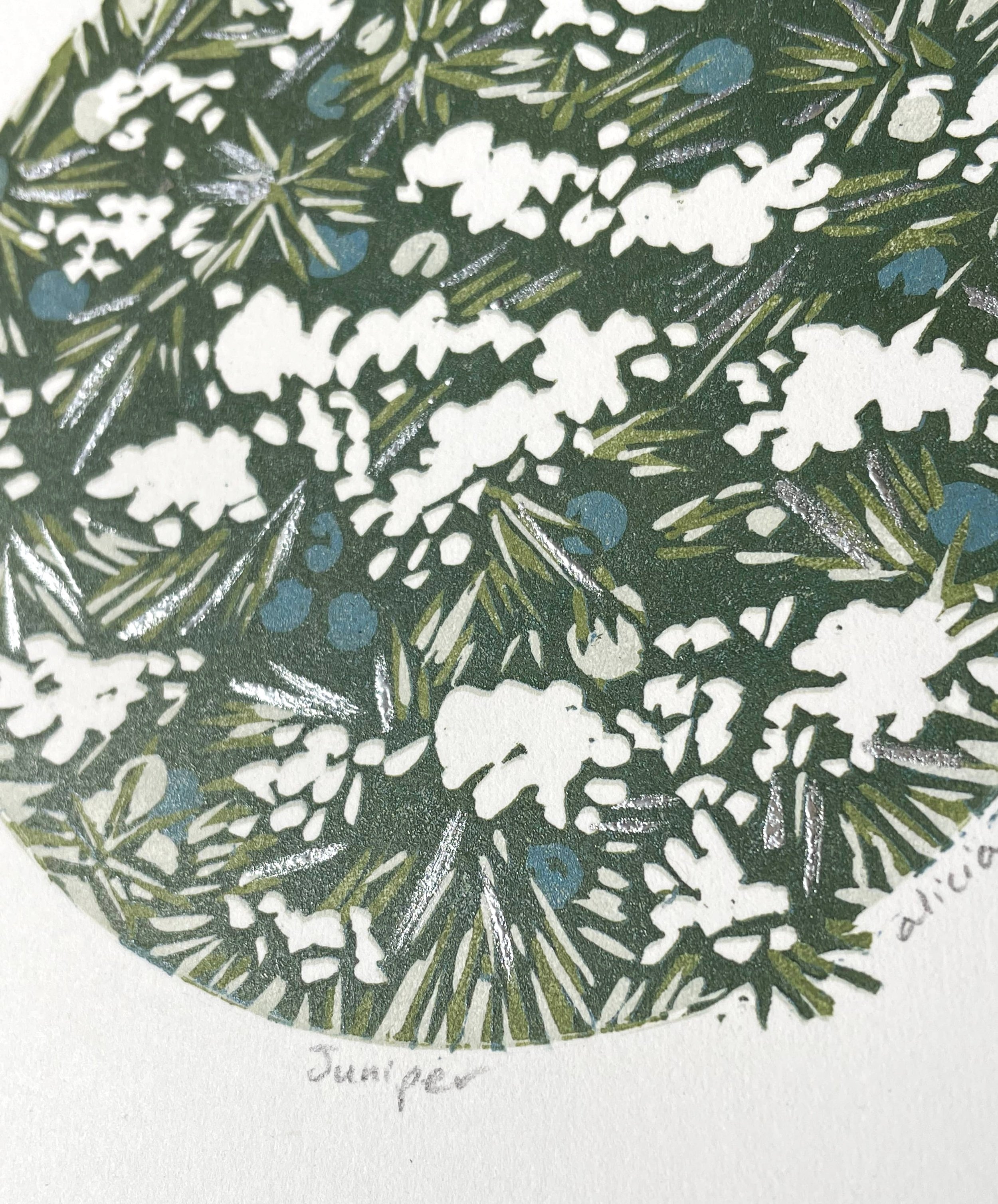 Juniper_detail.jpg