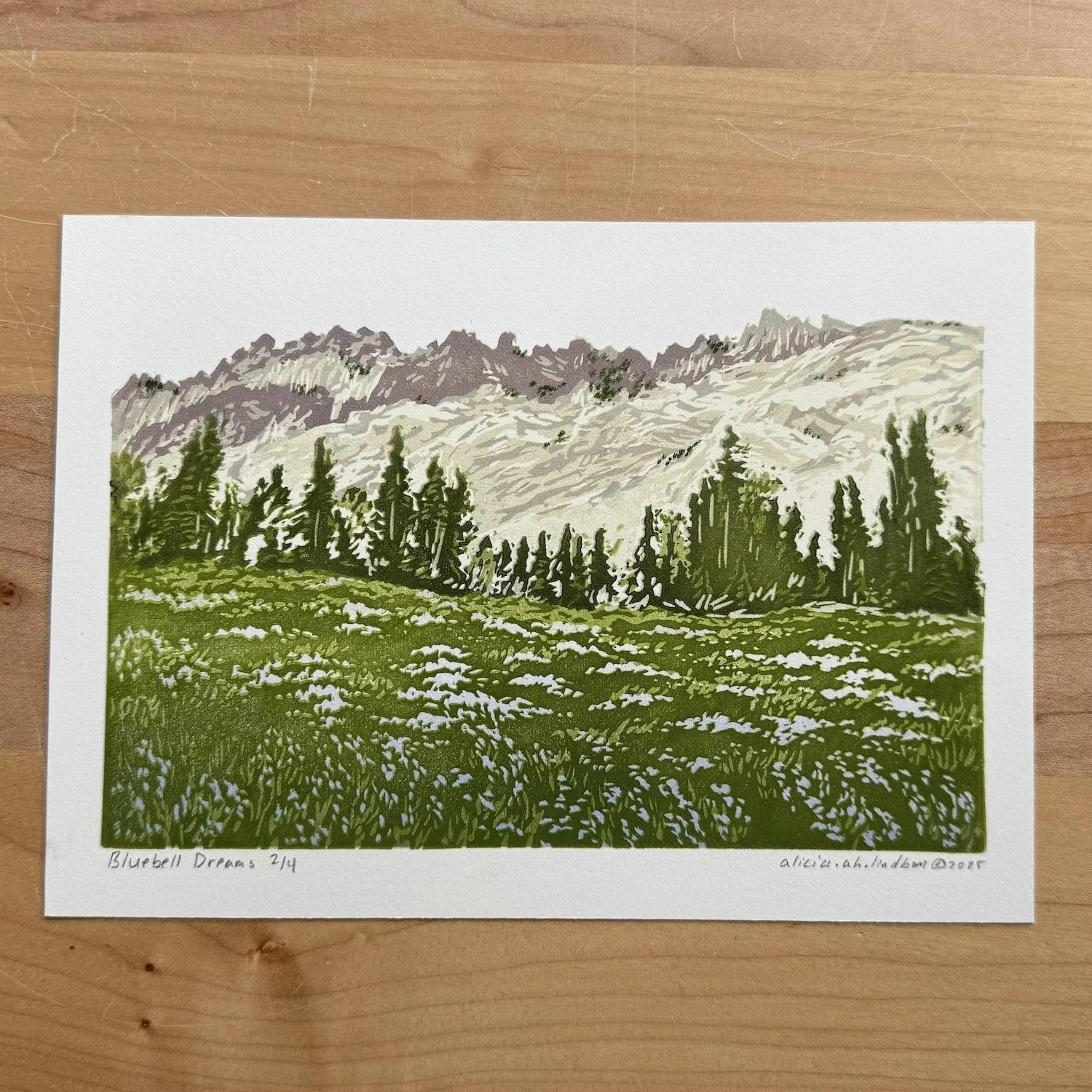 Bluebell Dreams Reduction print.jpg