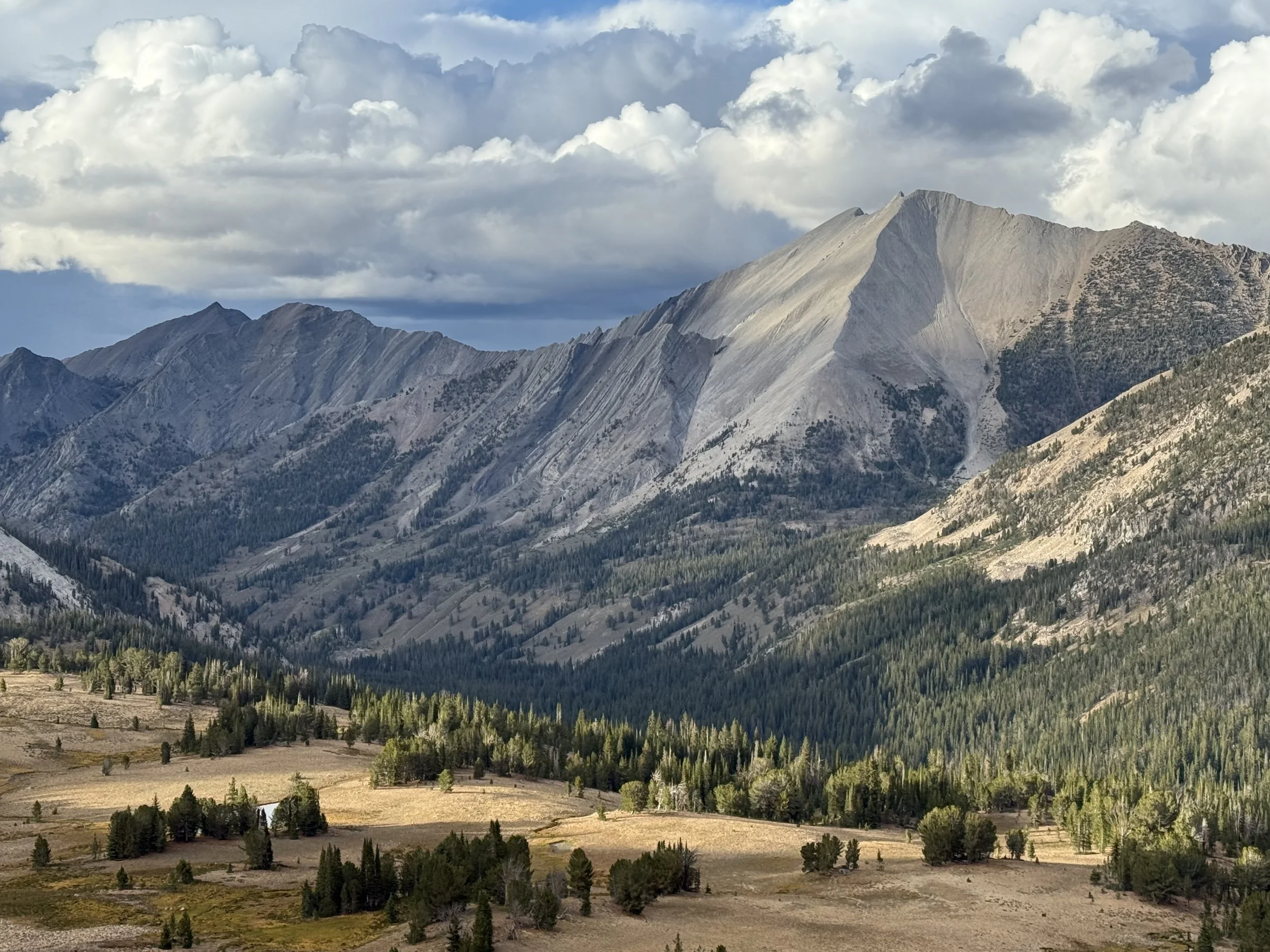 David O Lee peak in the White Clouds WIlderness.