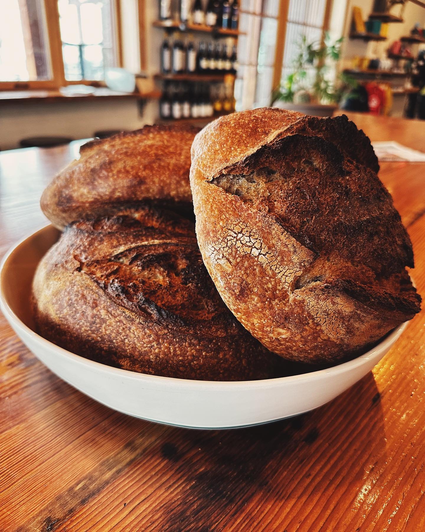 @moxiebread is in the house! Come grab a beautiful sourdough loaf on this snowy spring day, available for $10, and a special avocado toast served on the same bread. Come pick up a whole loaf or try it out in house. Here till we sell out!