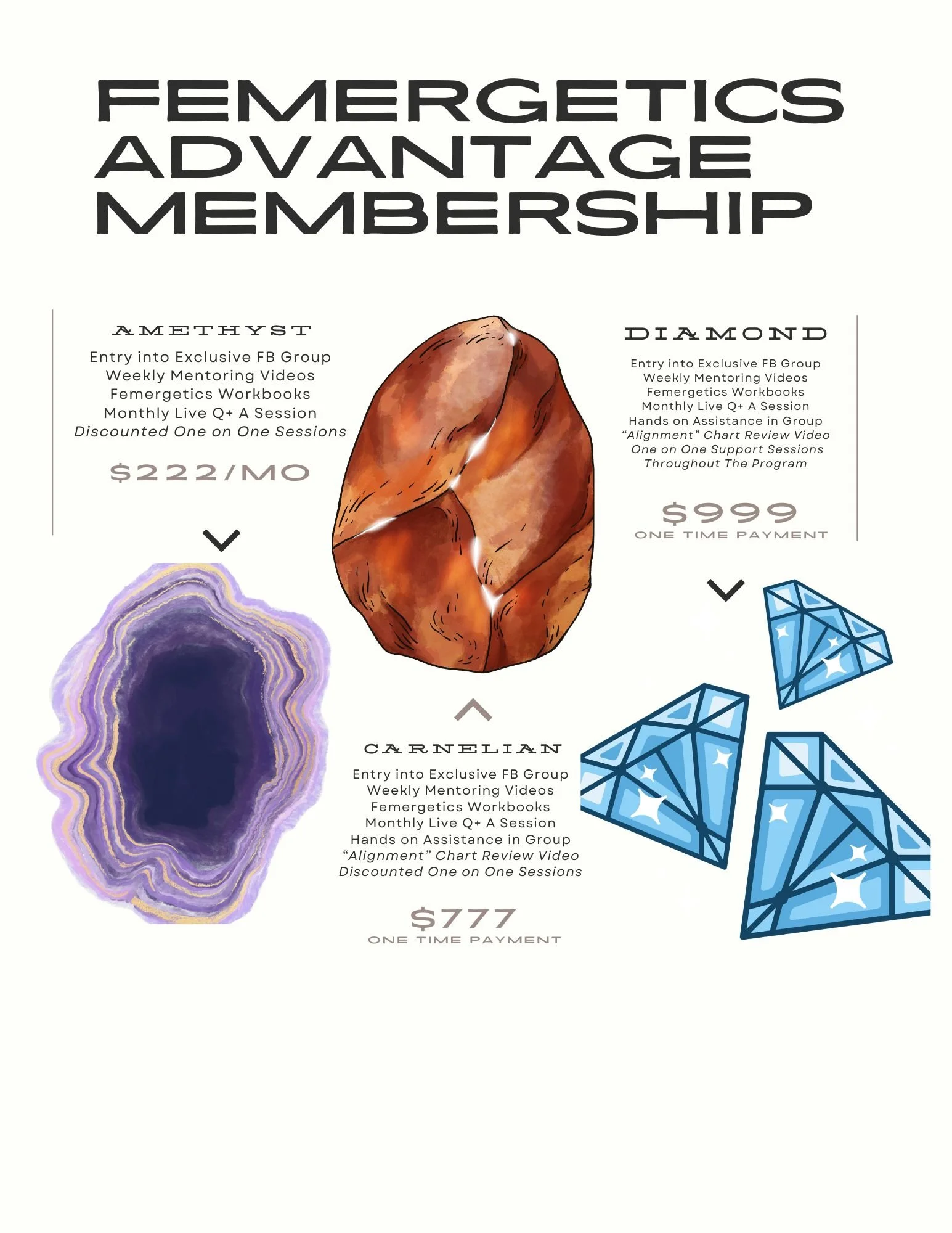 Femergetics Investment Sheet.jpg