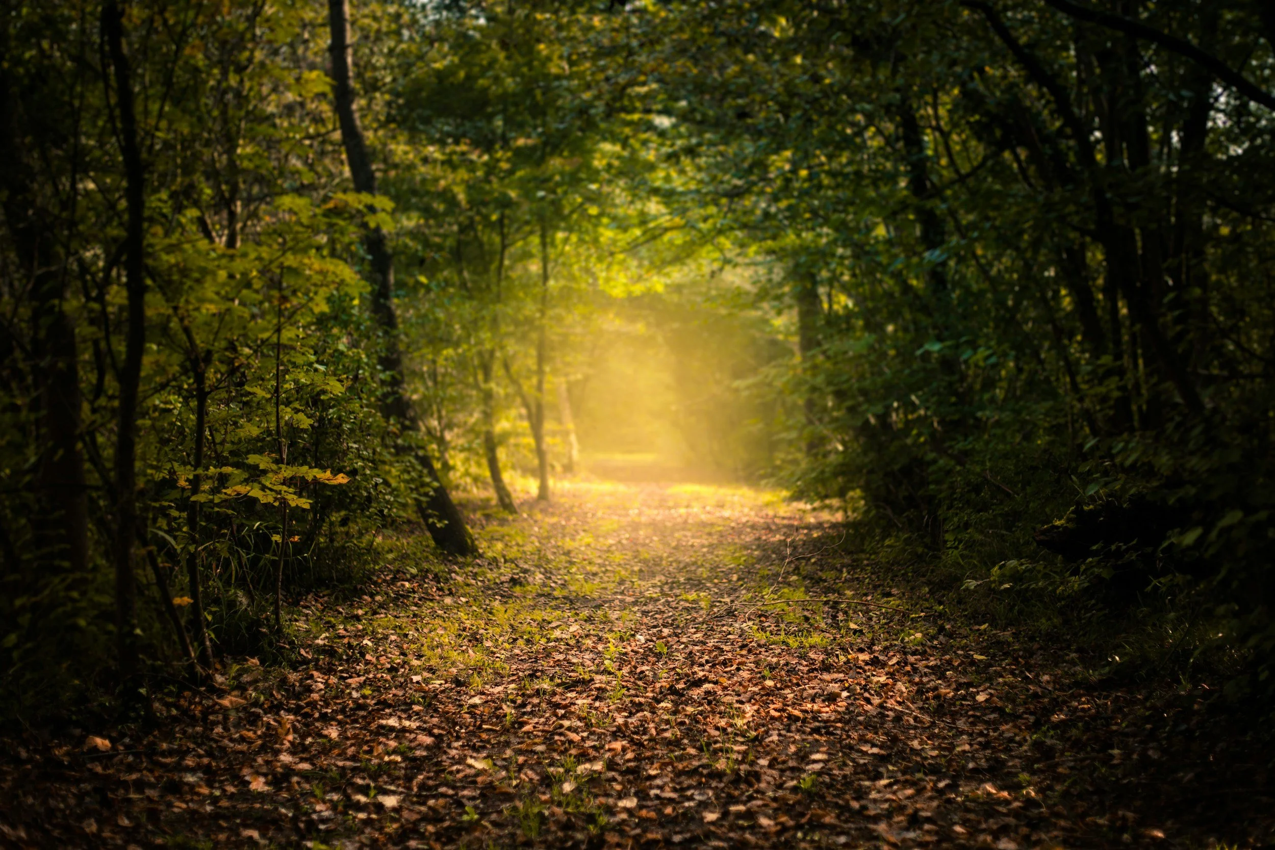 Grief Doesn't Have a Timeline. A Cincinnati Therapist on What Grieving Actually Looks Like.