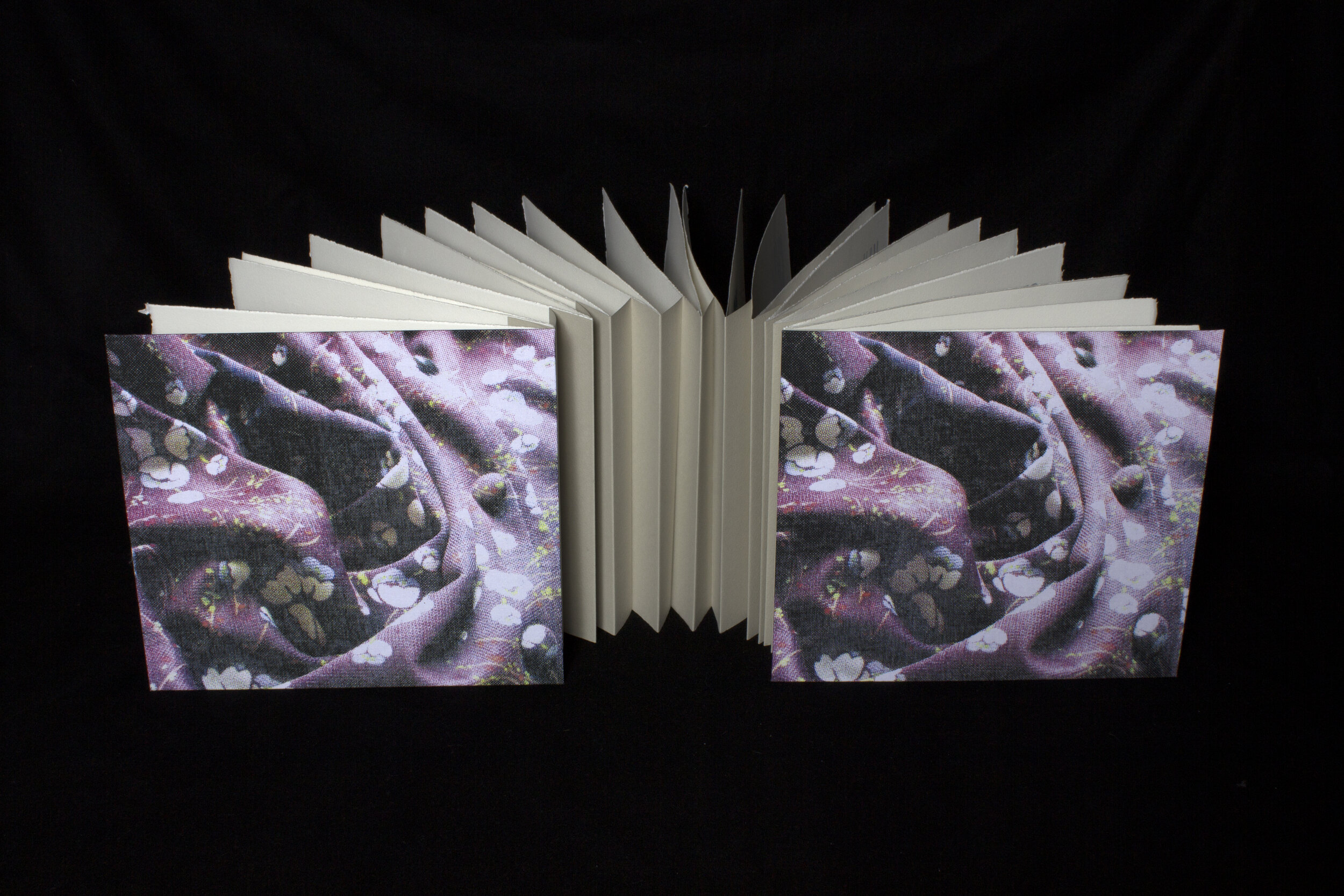 ClaireKesslerBradner_NarrativeGarments_10x11_back accordion.jpg