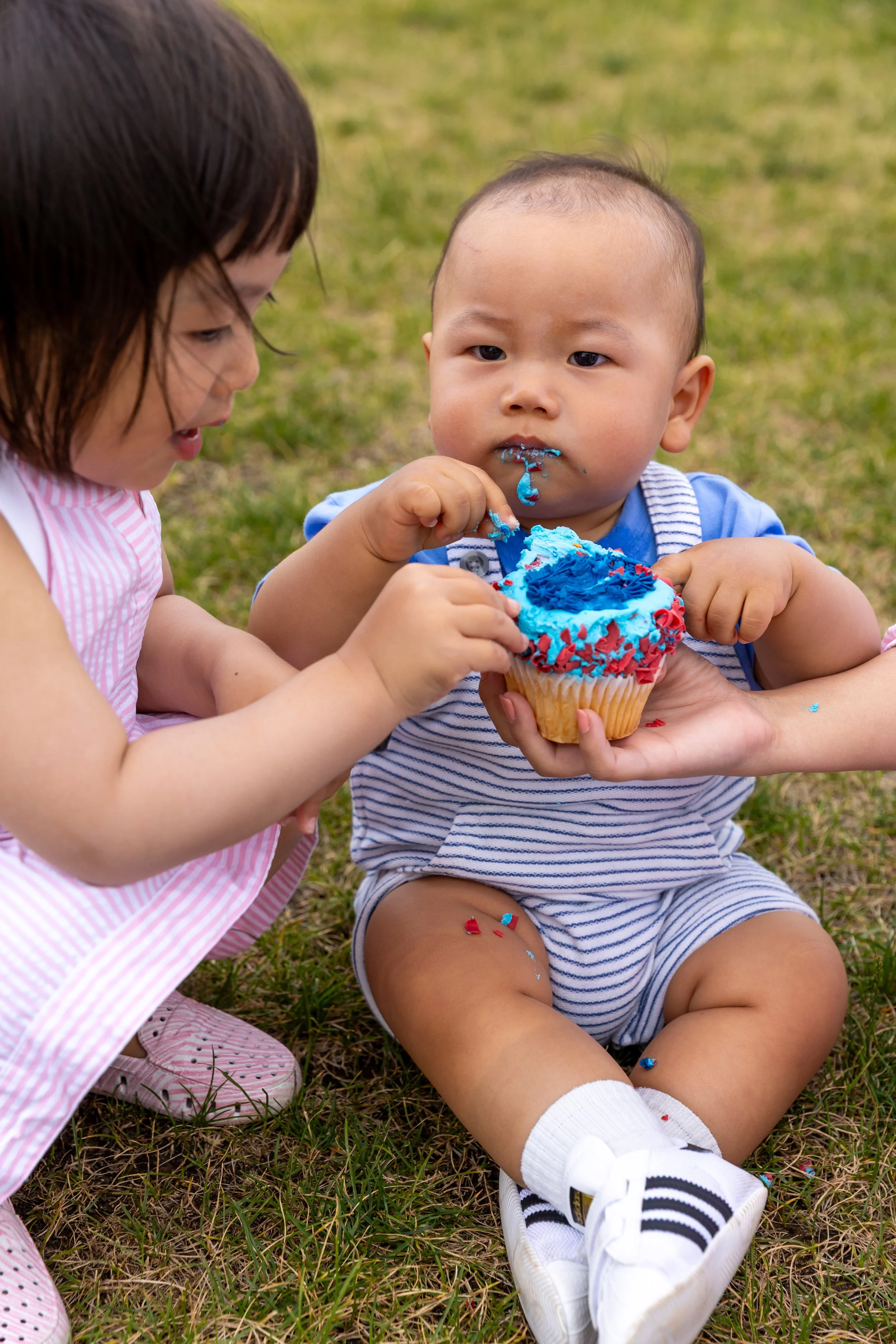 A one year old in white and blue striped overalls sits the grass in a St. Paul park with a cupcake being held in front of him while he eats it with frosting on his face and his sister in a pink dress squats next to him reaching for the cupcake.