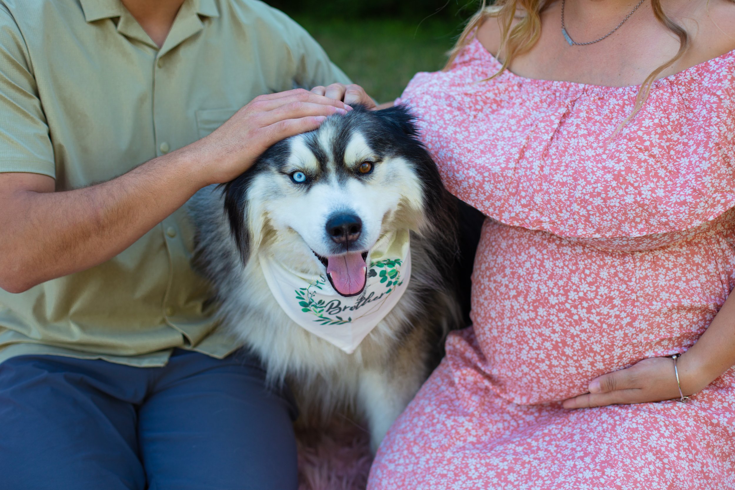 Maternity session - close up of father and mother petting dog