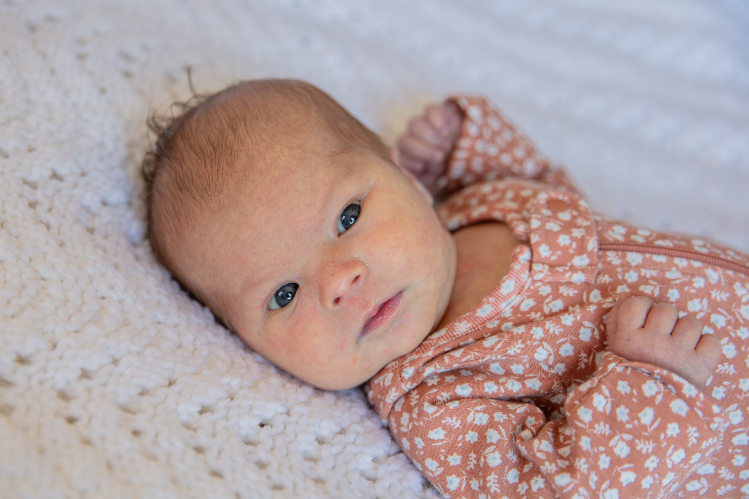 Close up of baby looking at the camera while laying on a blanket.