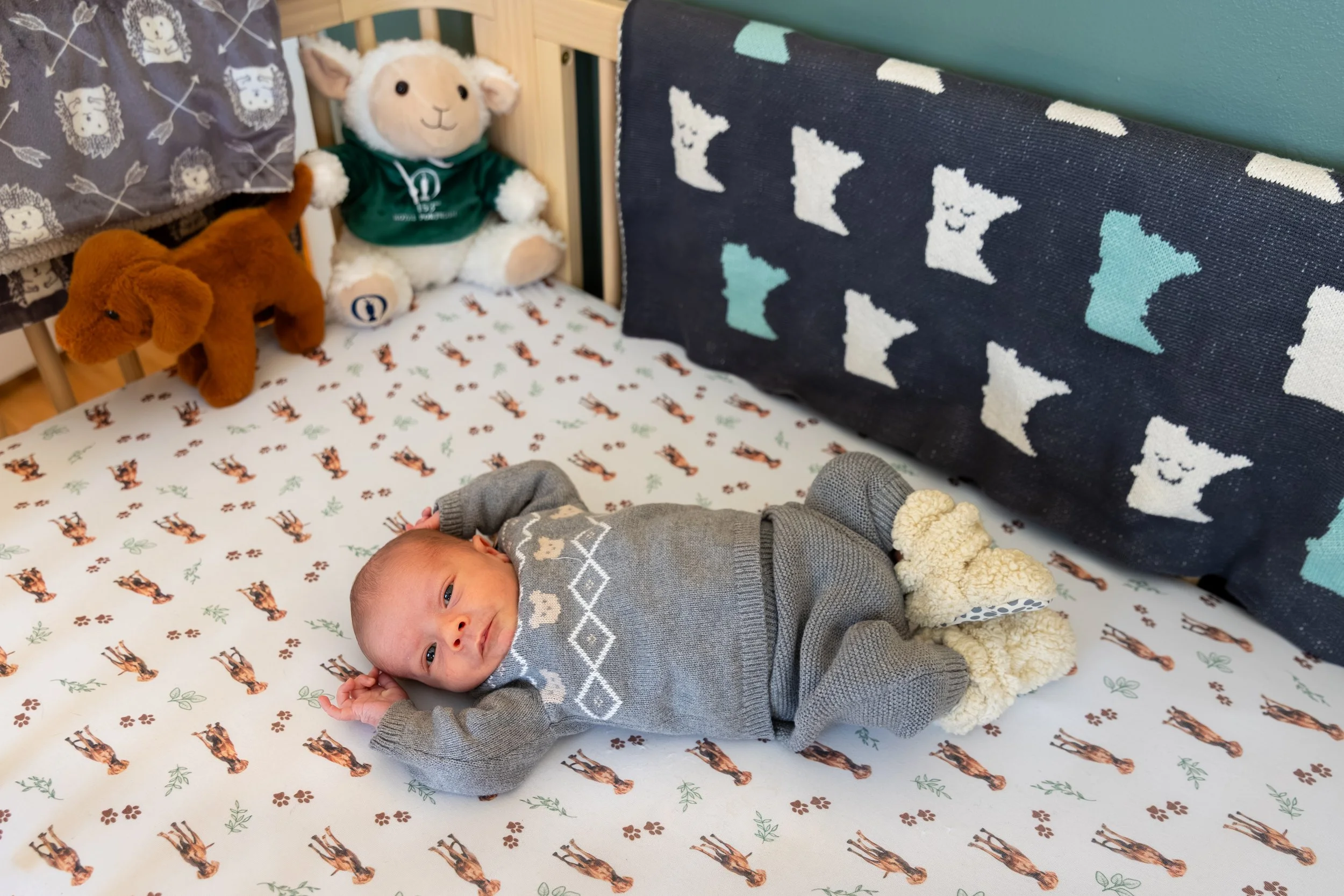 Minneapolis in-home newborn photography session - image of newborn laying in his crib in his nursery with two stuffed animals around him and a blanket with a pattern of the state of Minnesota in the background. 