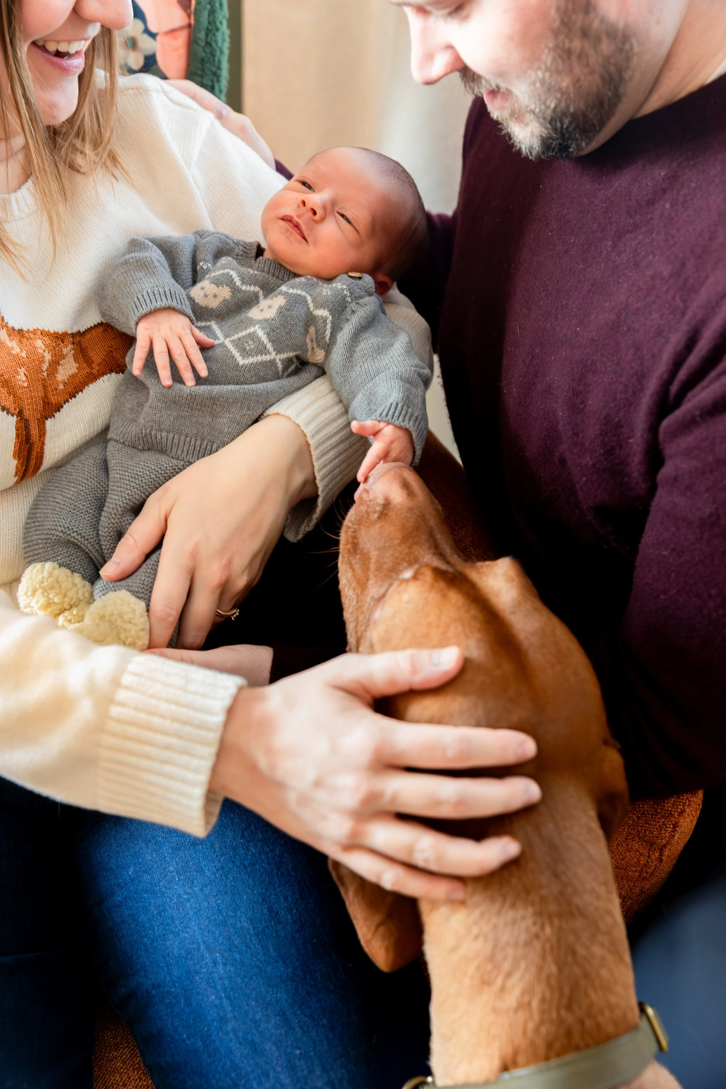 Minneapolis in-home newborn photography session - Up close image of baby being held in moms arms with mom and dad surrounding the baby looking down at it with their dogs face in the corner also looking at the baby as the mom pets the dogs head.
