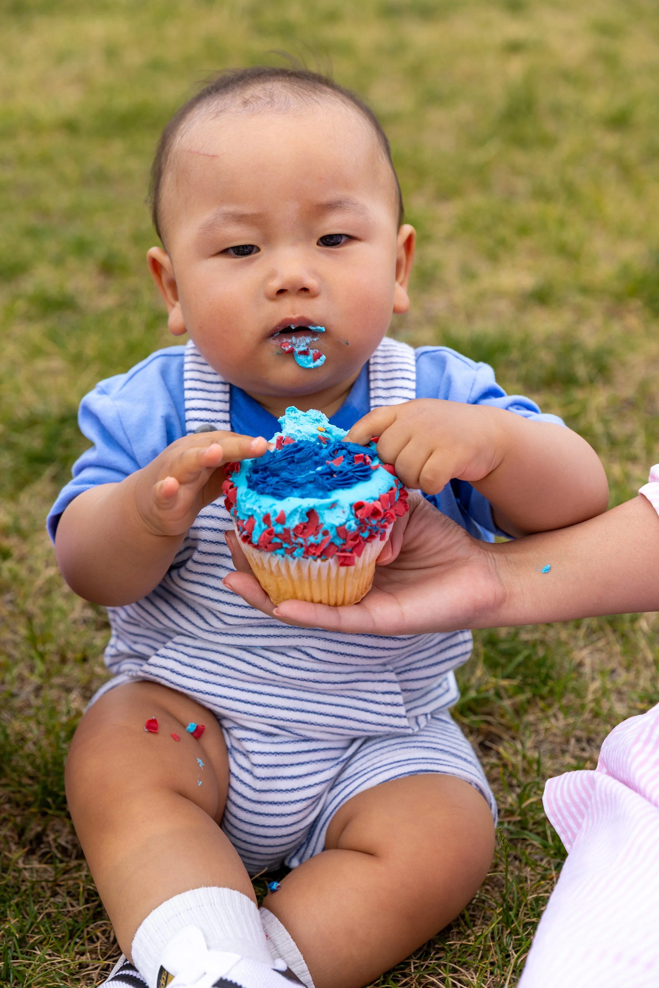 A one year old in white and blue striped overalls sits the grass in a St. Paul park with a cupcake being held in front of him while he eats it with frosting on his face.
