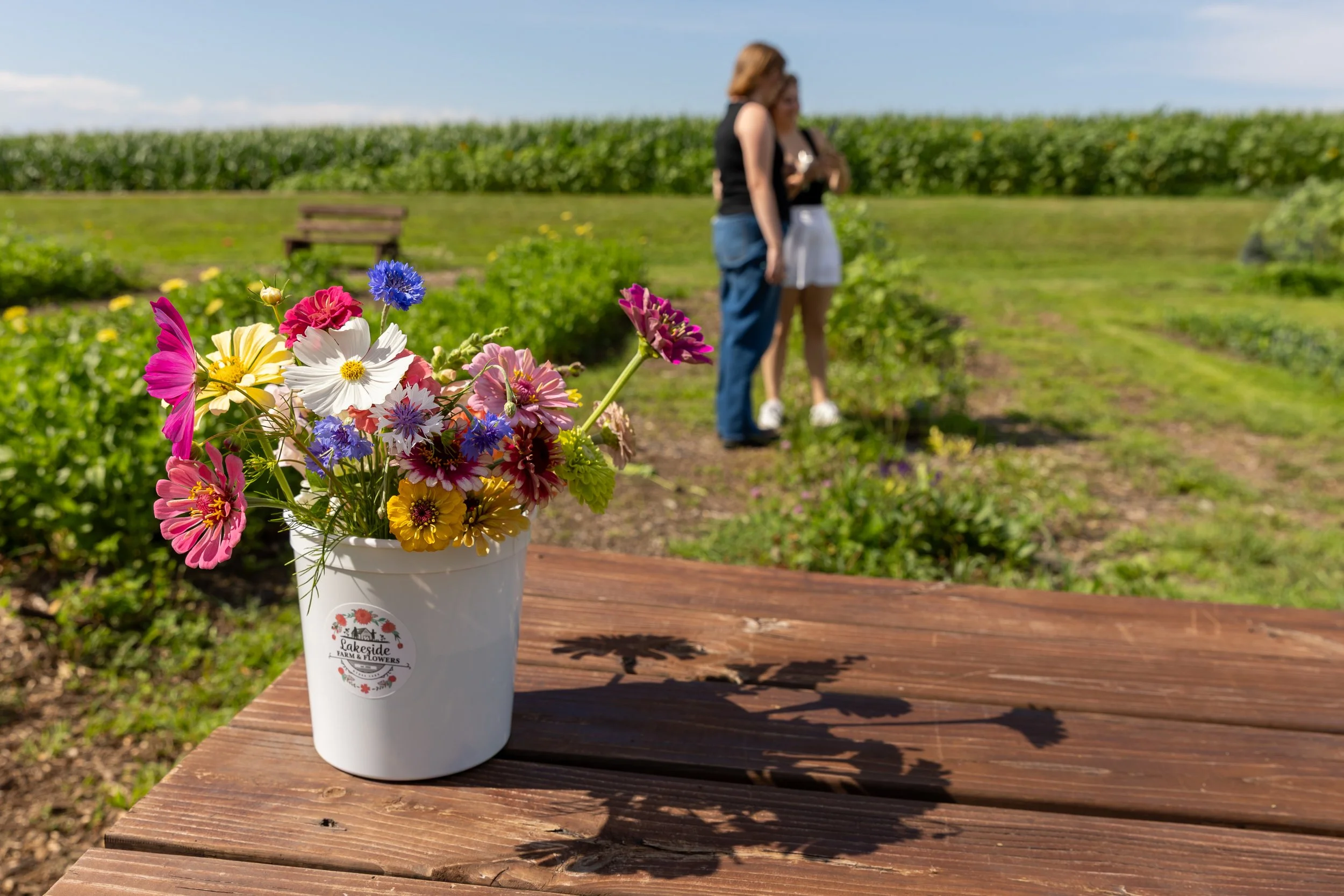 Minneapolis couples photography - A couple pick flowers together at Lakeside Farm and Flowers in Cologne, MN.