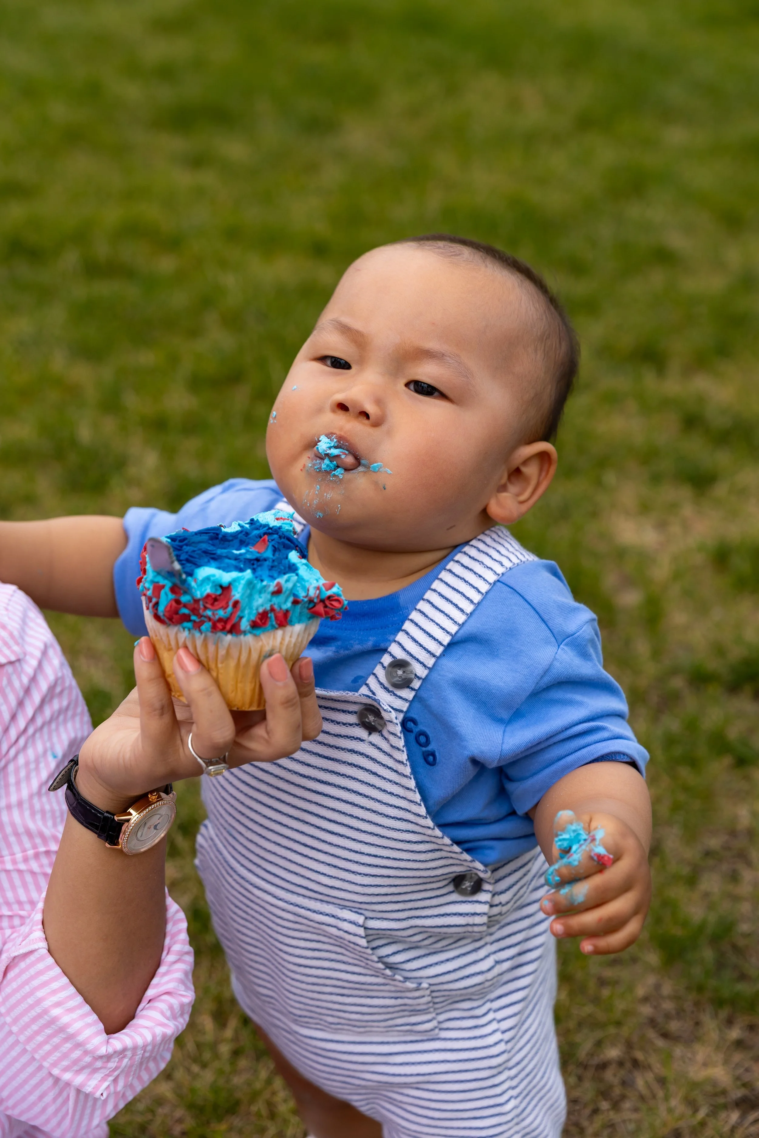 A one year old in white and blue striped overalls stands in the grass in a St. Paul park with a cupcake being held in front of him while he eats it with frosting on his face.