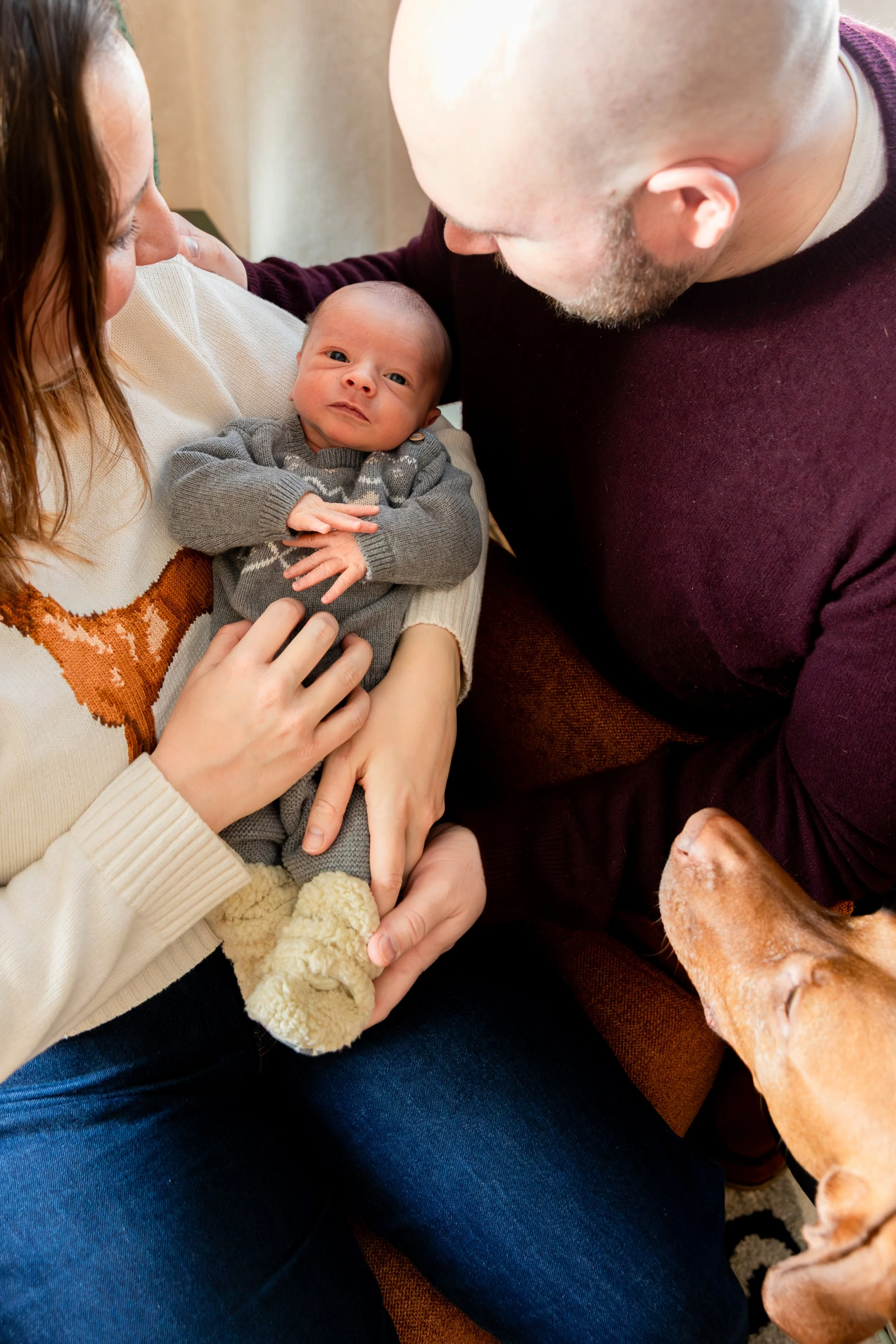 Minneapolis in-home newborn photography session - Up close image of baby being held in moms arms with mom and dad surrounding the baby looking down at it with their dogs face in the corner also looking at the baby.