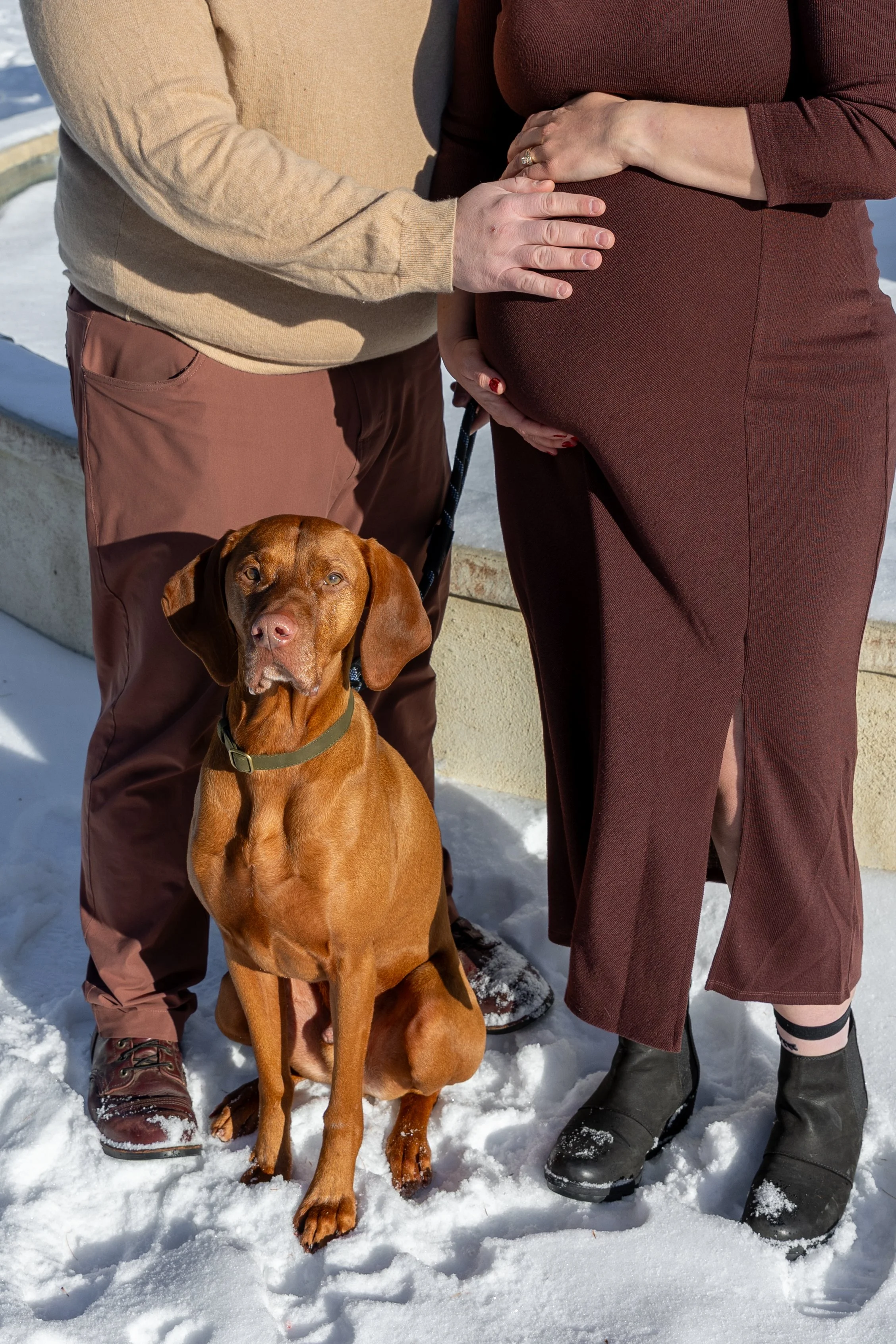 Minneapolis Maternity session, close up of expecting mother and father cradling her baby bump with their dog in between their feet at Arneson Acres Park in Edina, MN in the winter.