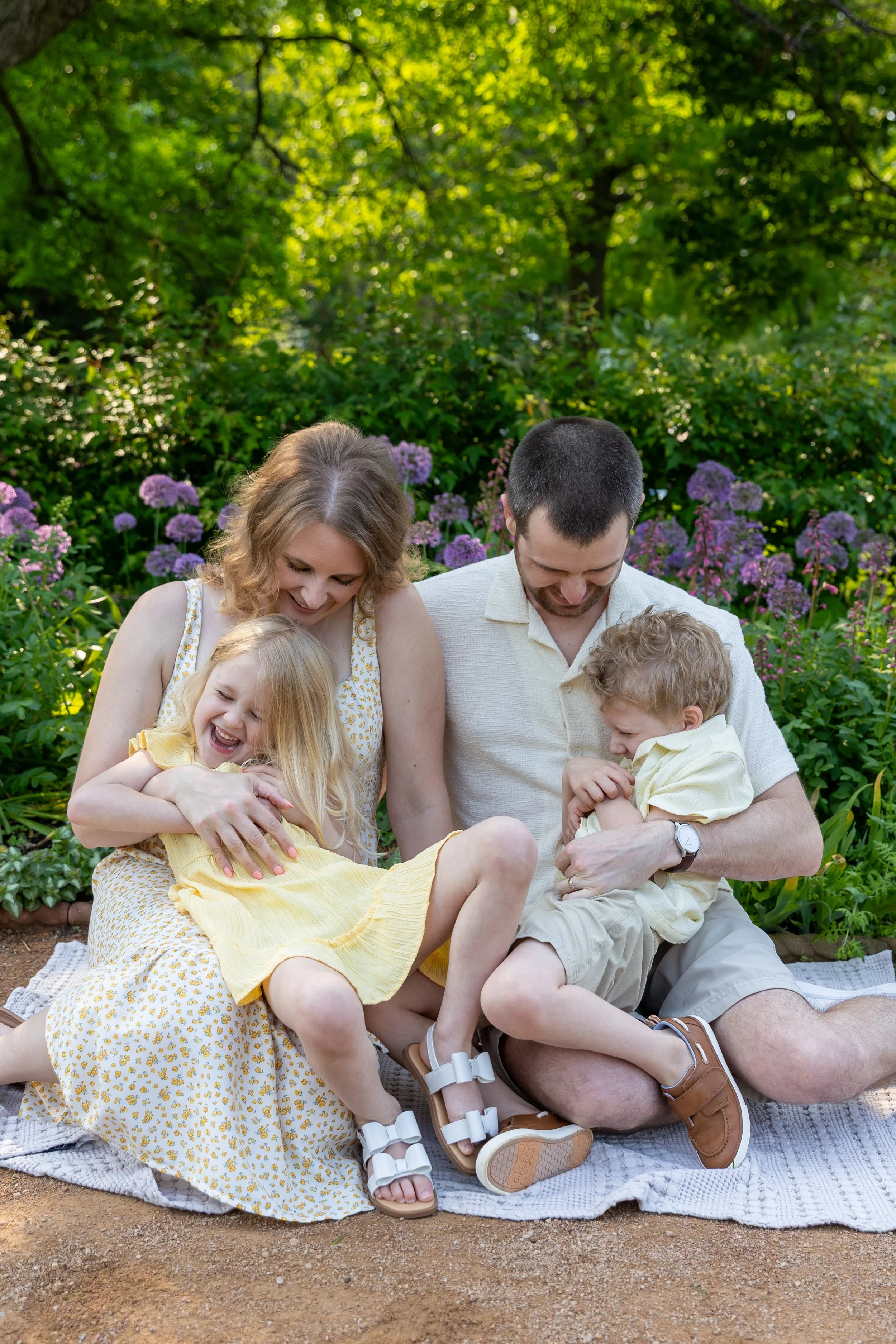 Minneapolis family photography May Mini Session- A mother and father sit on a blanket together their twin daughter and son on their laps. The parents are  tickling their kids while all laughing together. They are at Lyndale Rose Garden in Minneapolis