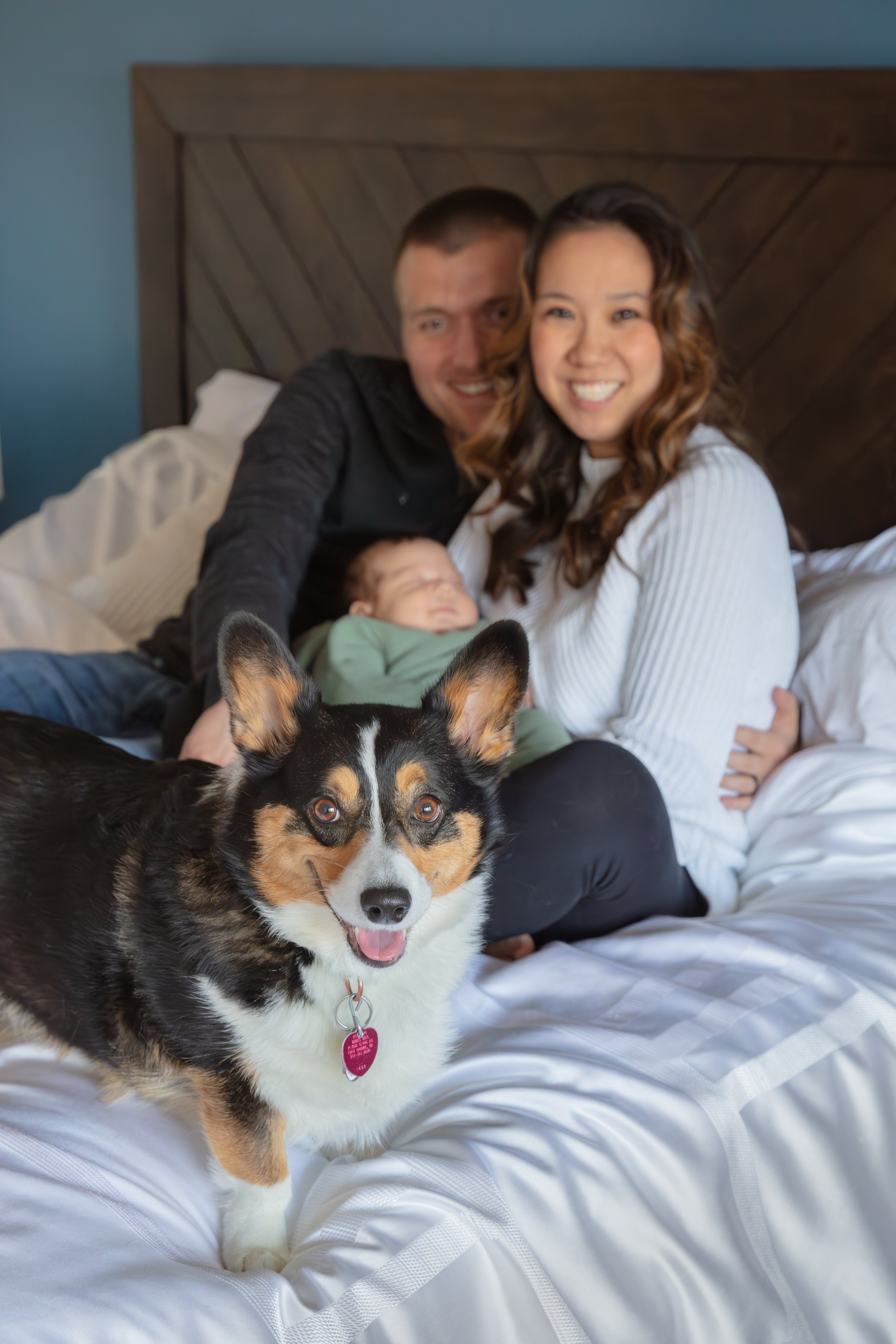 Newborn session, baby asleep in mother's arms while mother and father sit on their bed with dog in front of them looking at the camera.