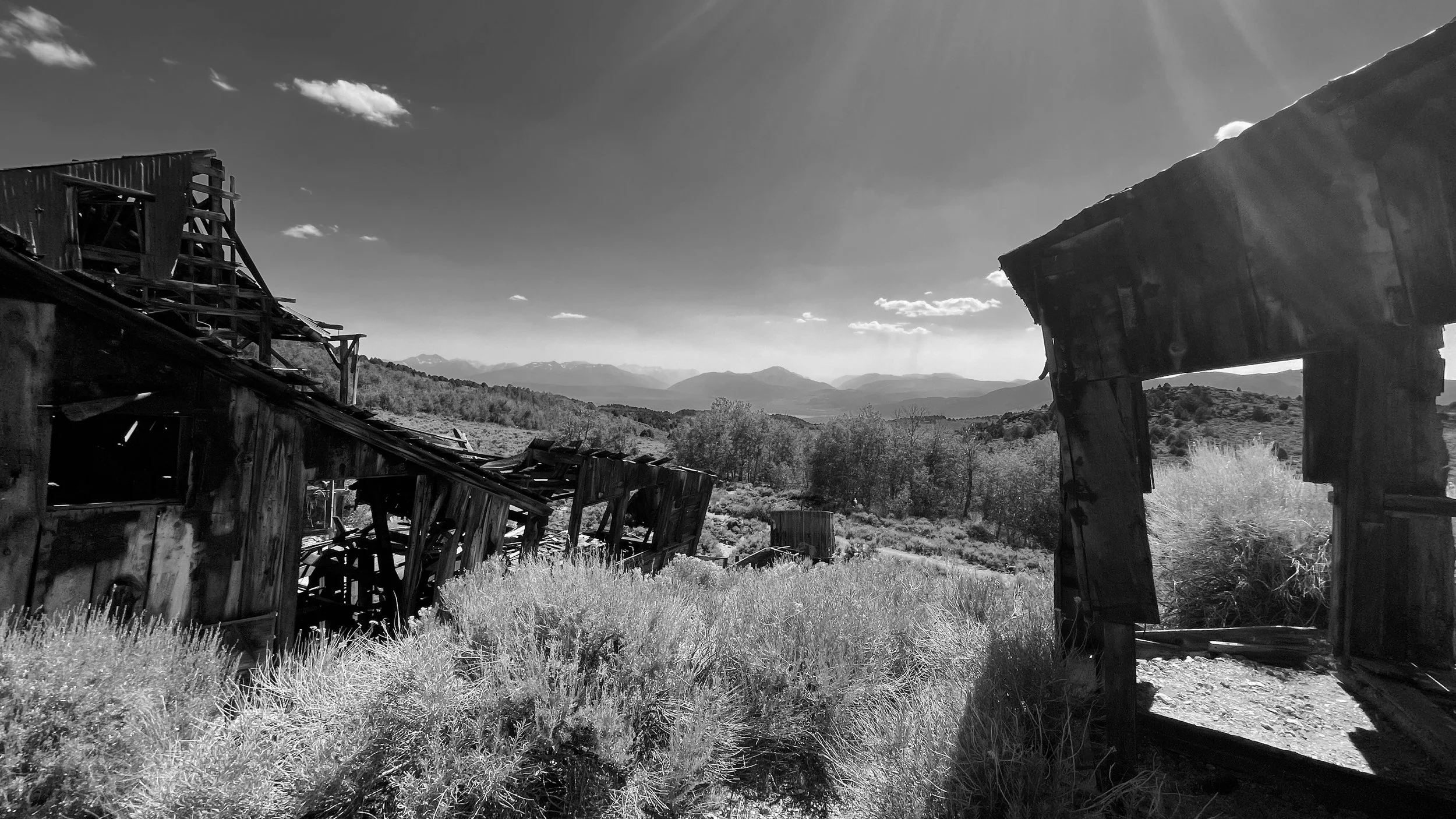 C32AD113-D5D9-499A-A585-CE99A27047E0_1_201_a.jpeg
