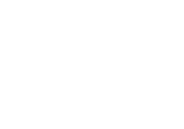 Prosperis Partners