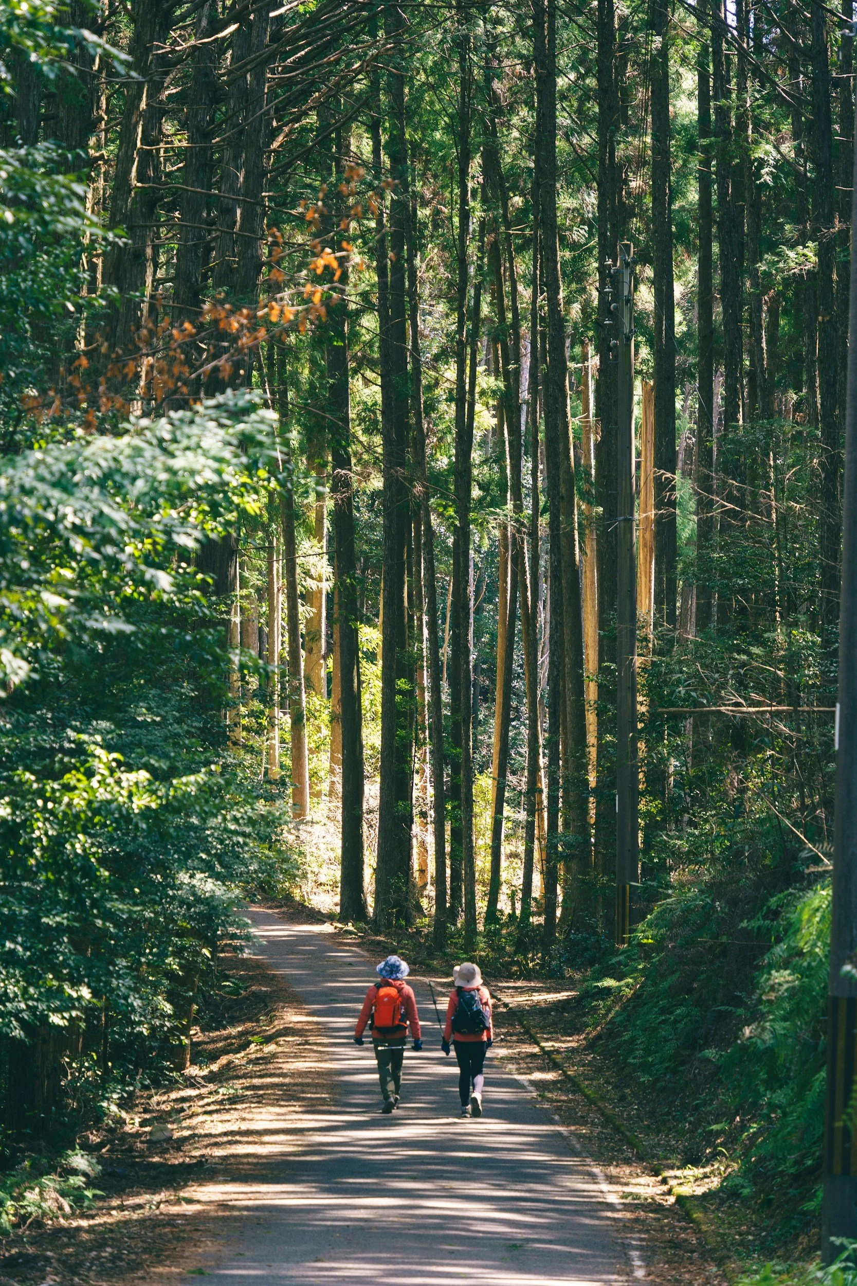 unsplash-image-8aCPVYdK4YI.jpg