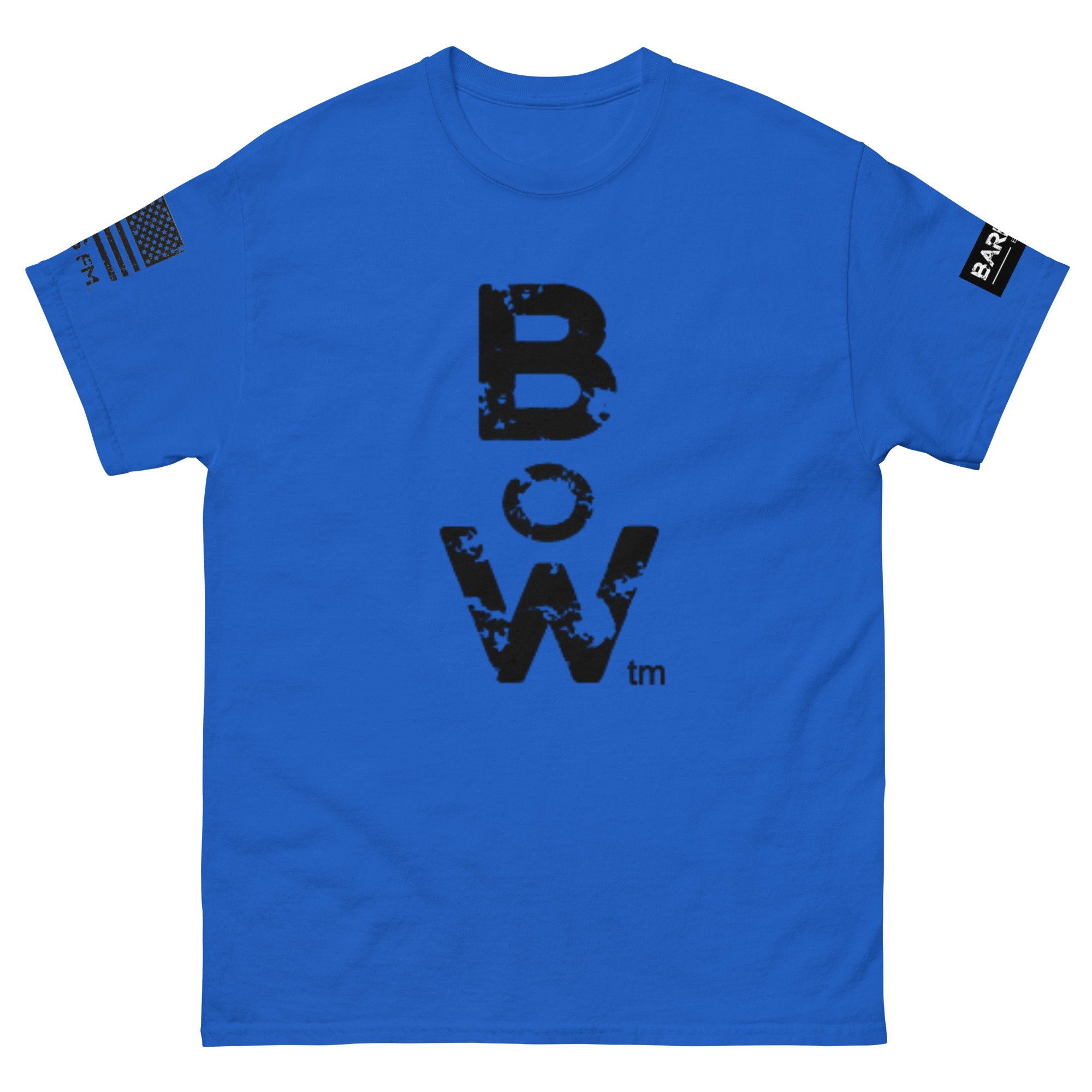unisex-classic-tee-royal-front-66c3b2739b16c.jpg