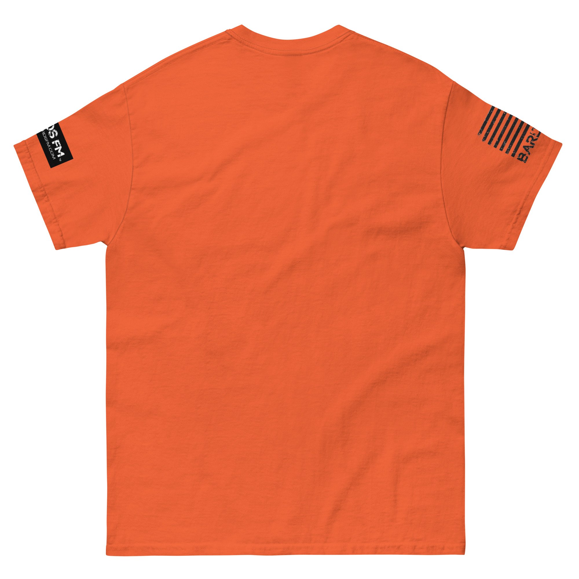 unisex-classic-tee-orange-back-66c3b2746ebf3.jpg