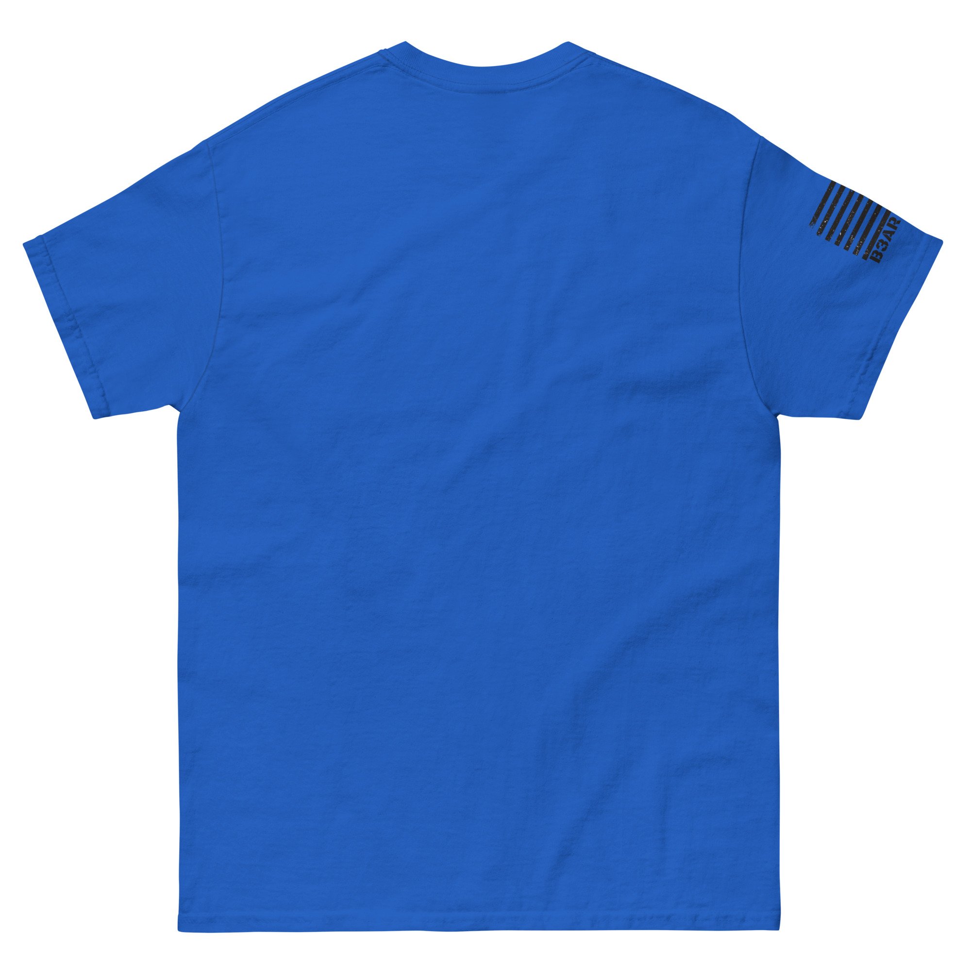 unisex-classic-tee-royal-back-66c3b493dae08.jpg