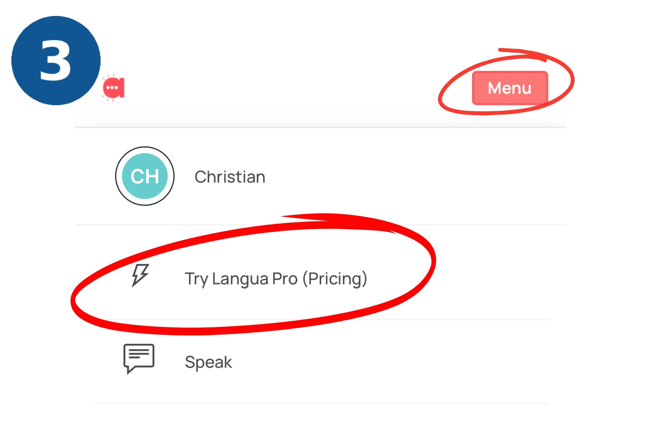 Langua's menu with the Menu button and "Try Langua Pro (Pricing)" circled, marked as step 3.