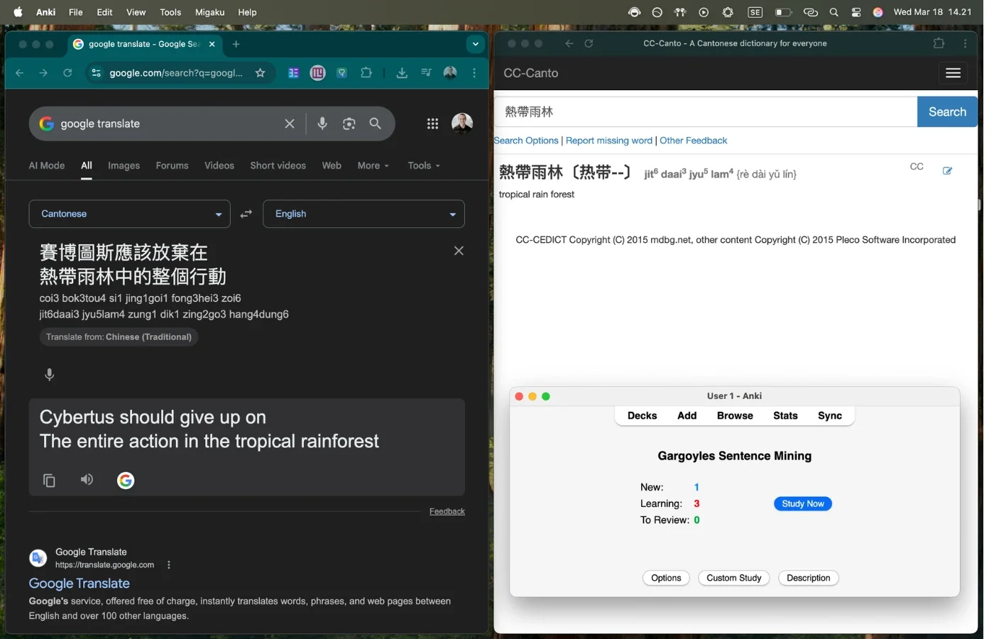 Secondary desktop screen for Cantonese sentence mining — Google Translate, CC-Canto dictionary, and Anki open side by side