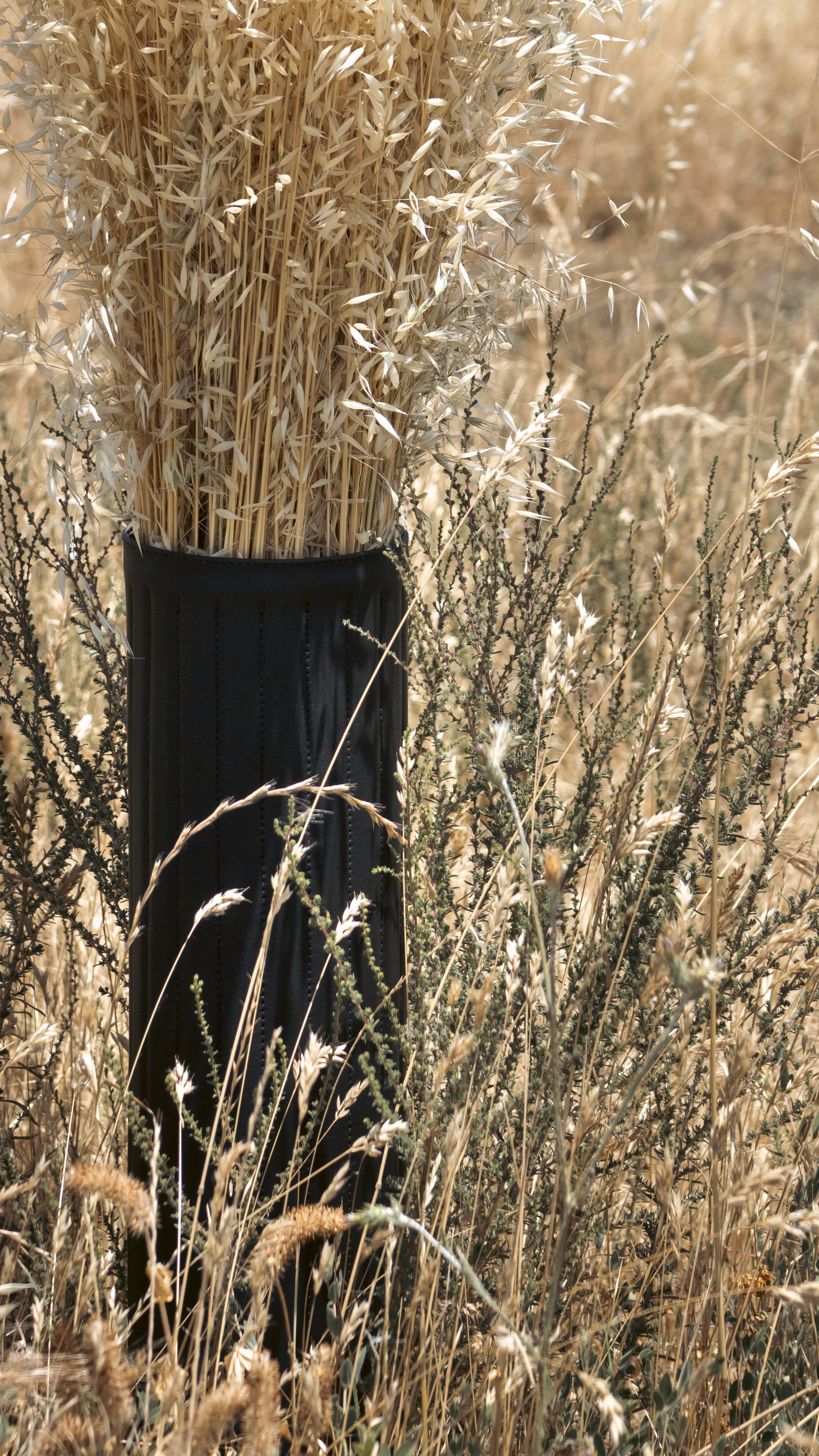 Forager California 1.jpg