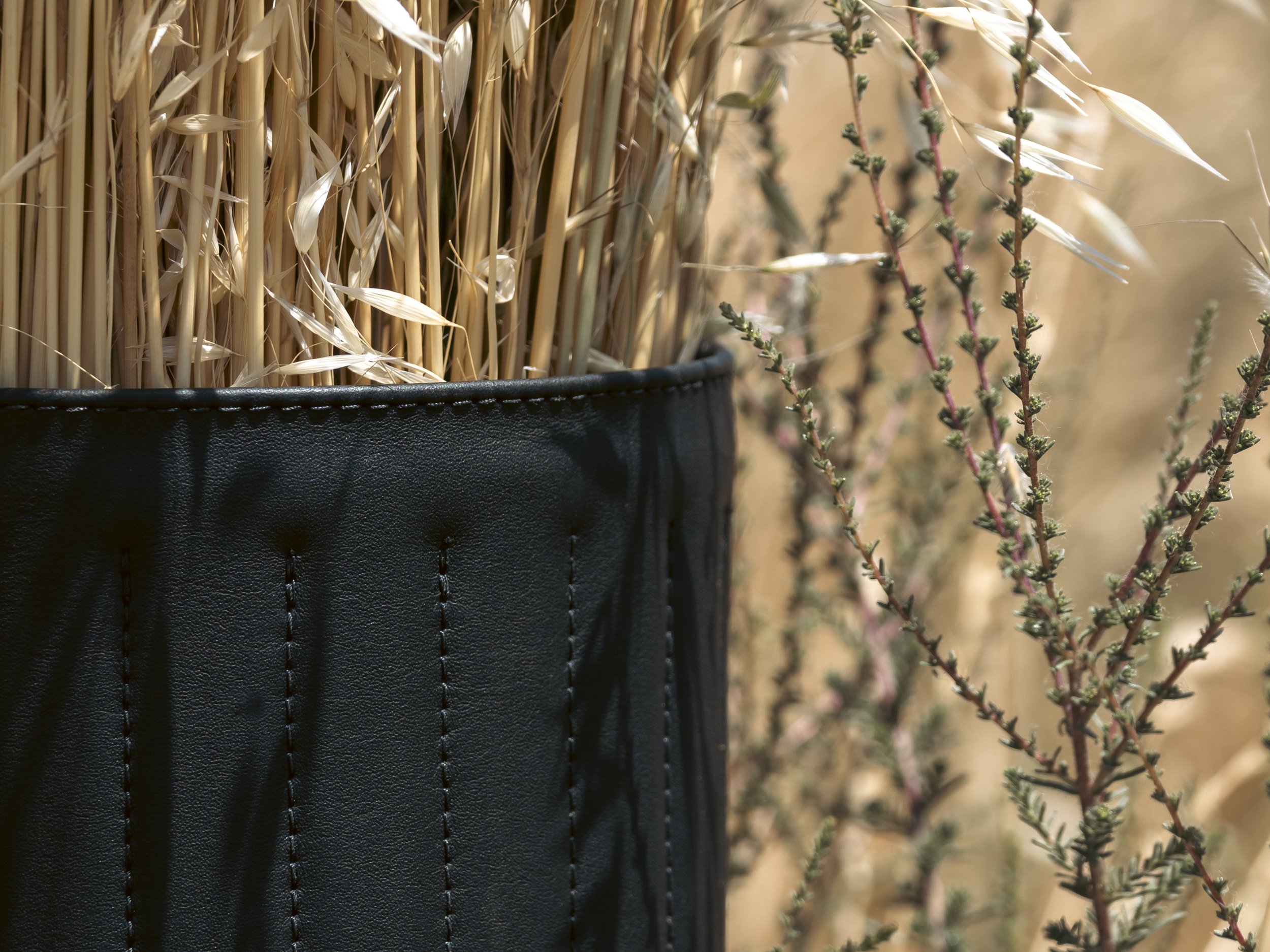 Forager California 2.jpg