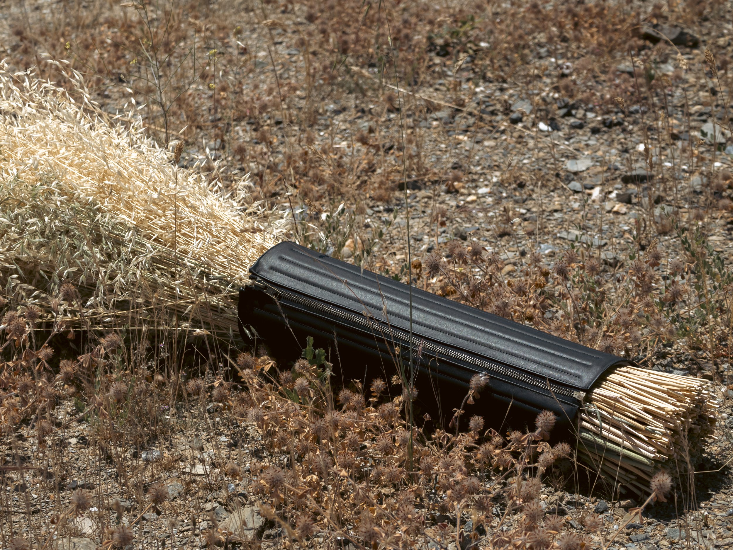 Forager California 3.jpg
